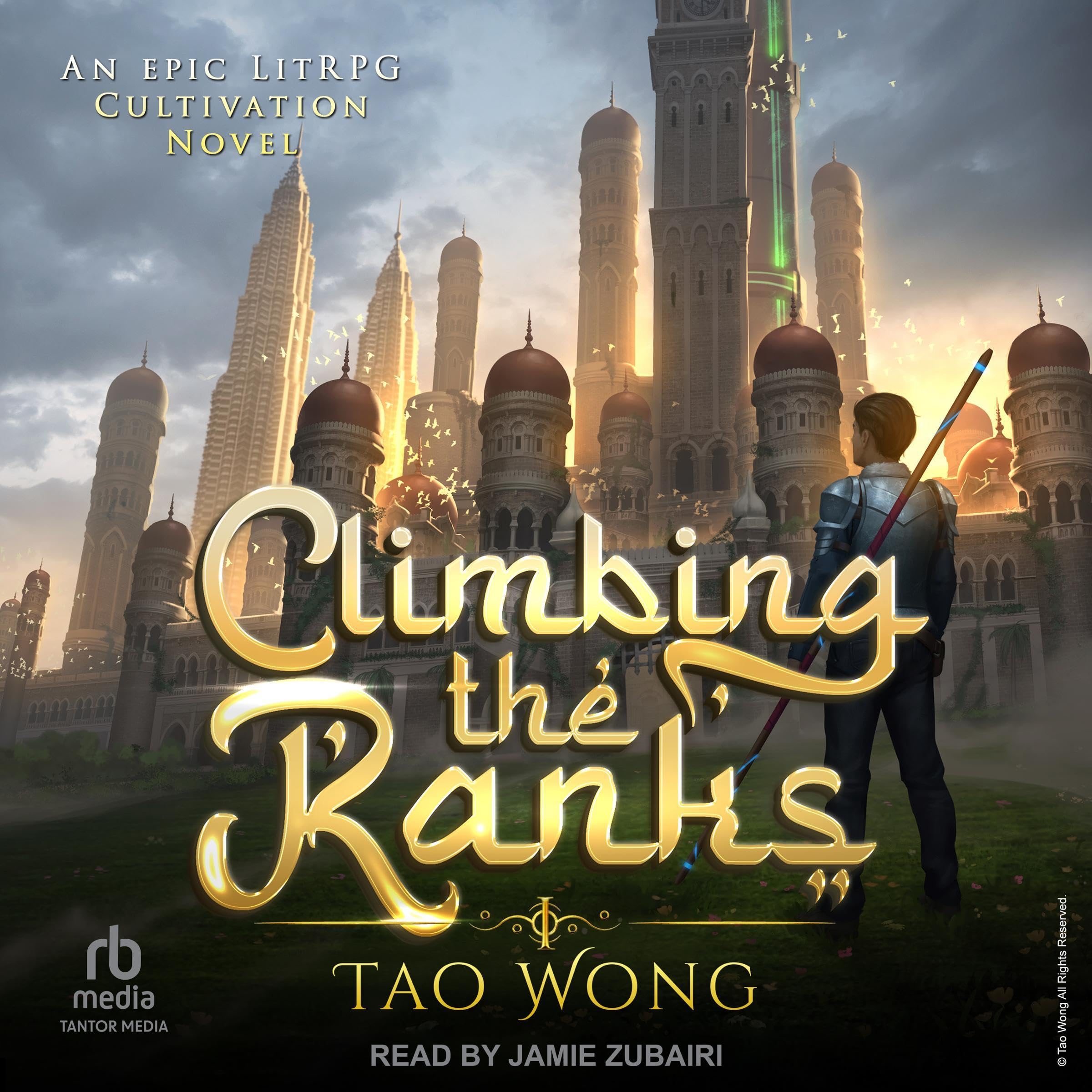 Cover art for Climbing the Ranks