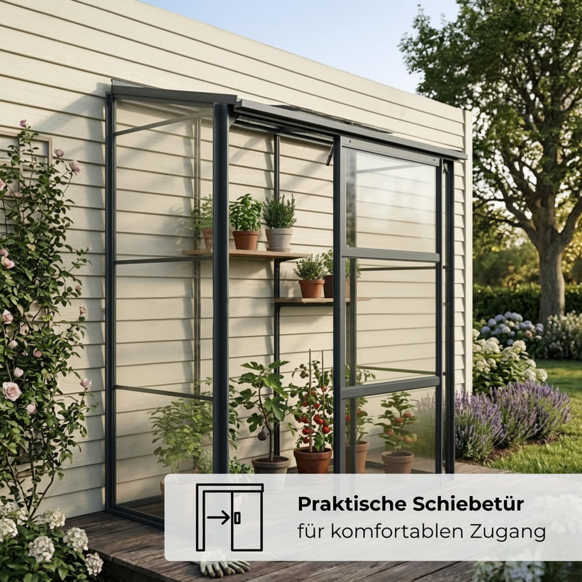Gewächshaus Glas 0,9 m² Aluminium Rahmen mit Schiebetür | Premium Wand-Gewächshaus schwarz Temperaturkontrolle Aufstellfenster | Tomaten- und Anzuchtgewächshaus 130 x 68 x 173 cm (B x T x H)