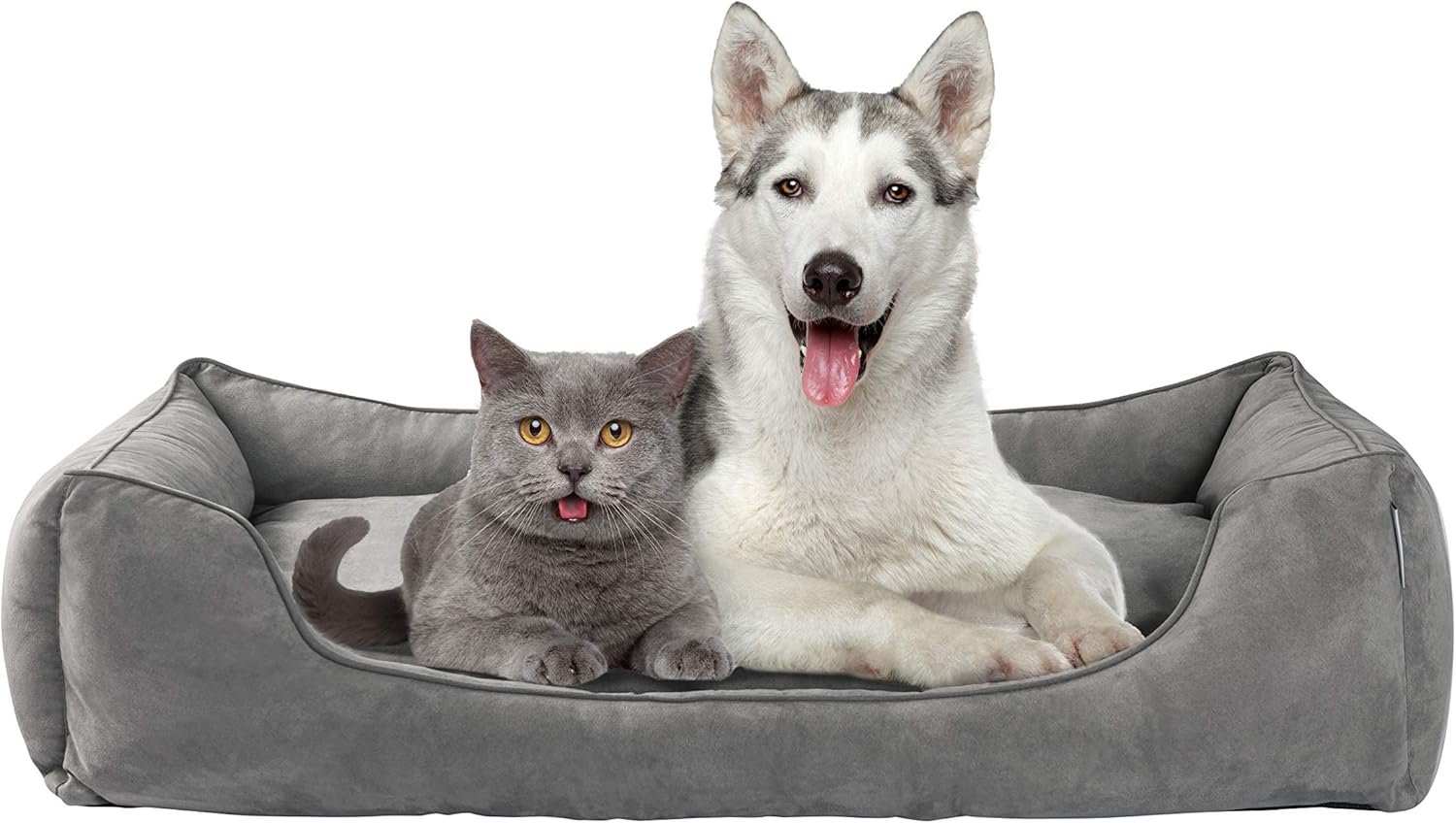 large dog trampoline bed