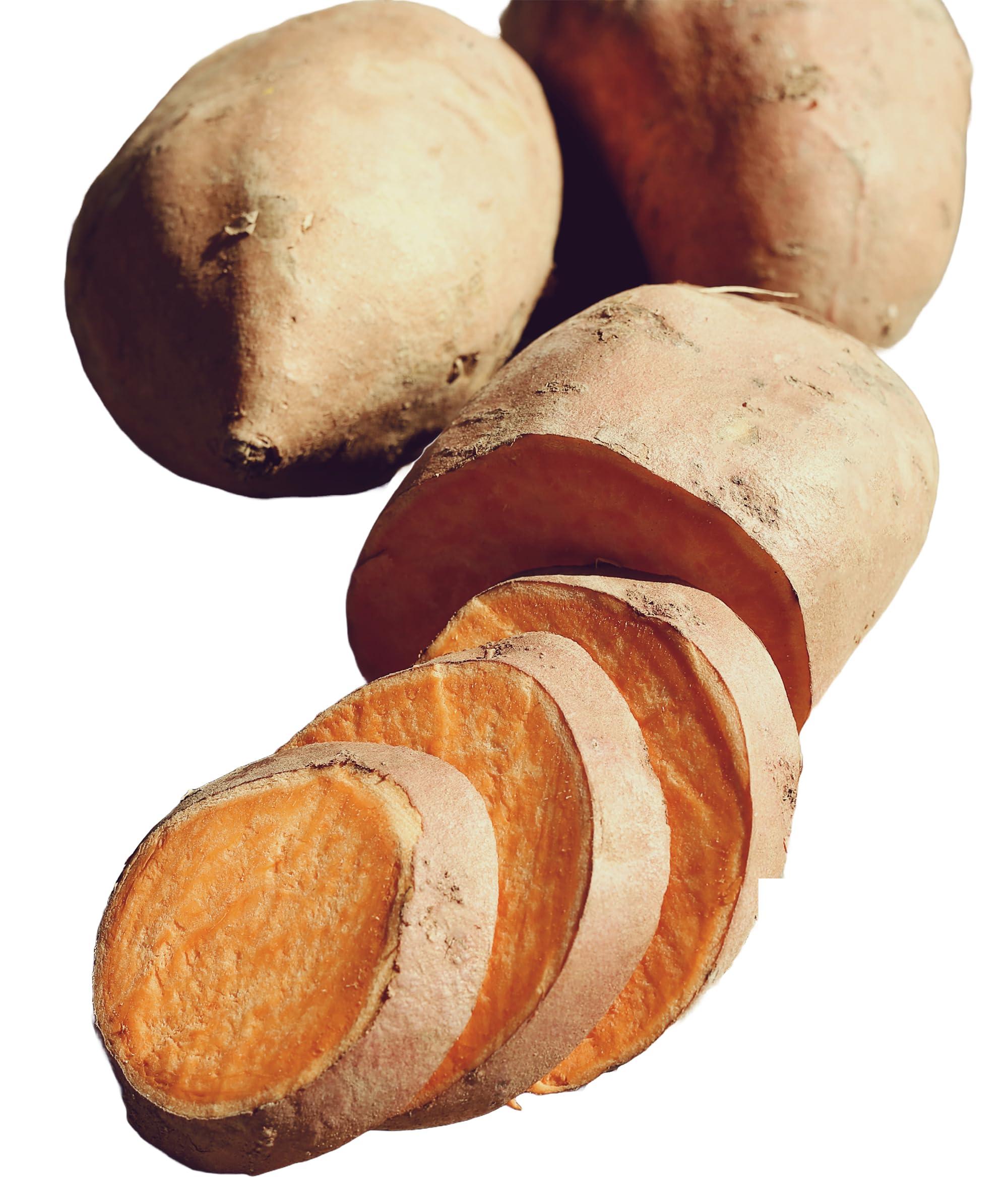 Beauregard Seed Sweet Potatoes Non GMO for Planting or Cooking, New Crop (3 lbs)