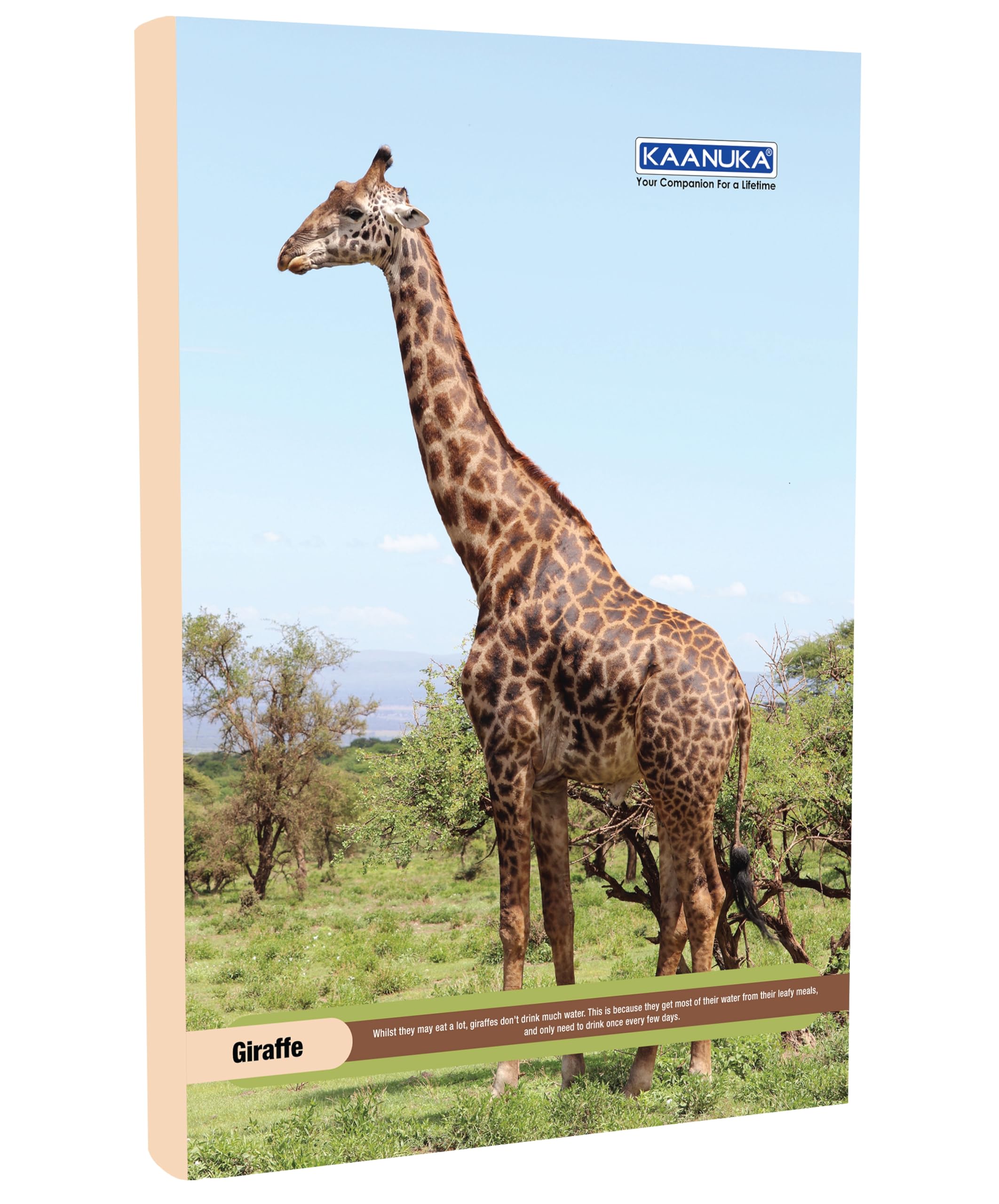 KAANUKA Cuaderno de tamaño largo, 172 páginas, rayado, una sola línea, A4-29,7 cm x 21,0 cm, paquete de 5 cuadernos, cuadernos de tamaño largo de una sola línea para estudiantes escolares y