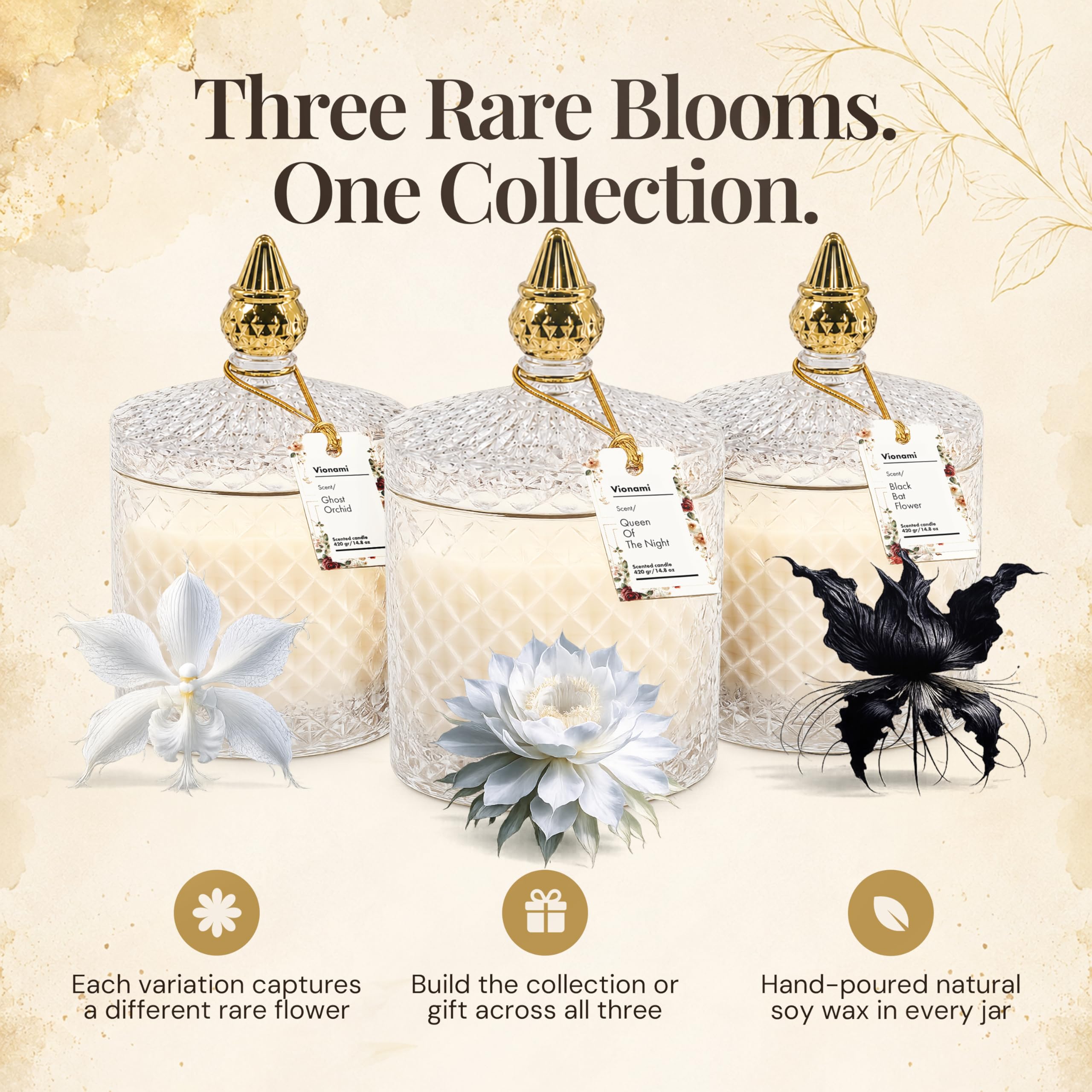 Luxuriöse Duftkerze, Geschenk – Königin der Nacht, seltener Blumenduft in elegantem Glas, langlebige Sojawachskerze, Geschenk für jeden Anlass, 420 ml, ideal für Frauen und Heimdekoration