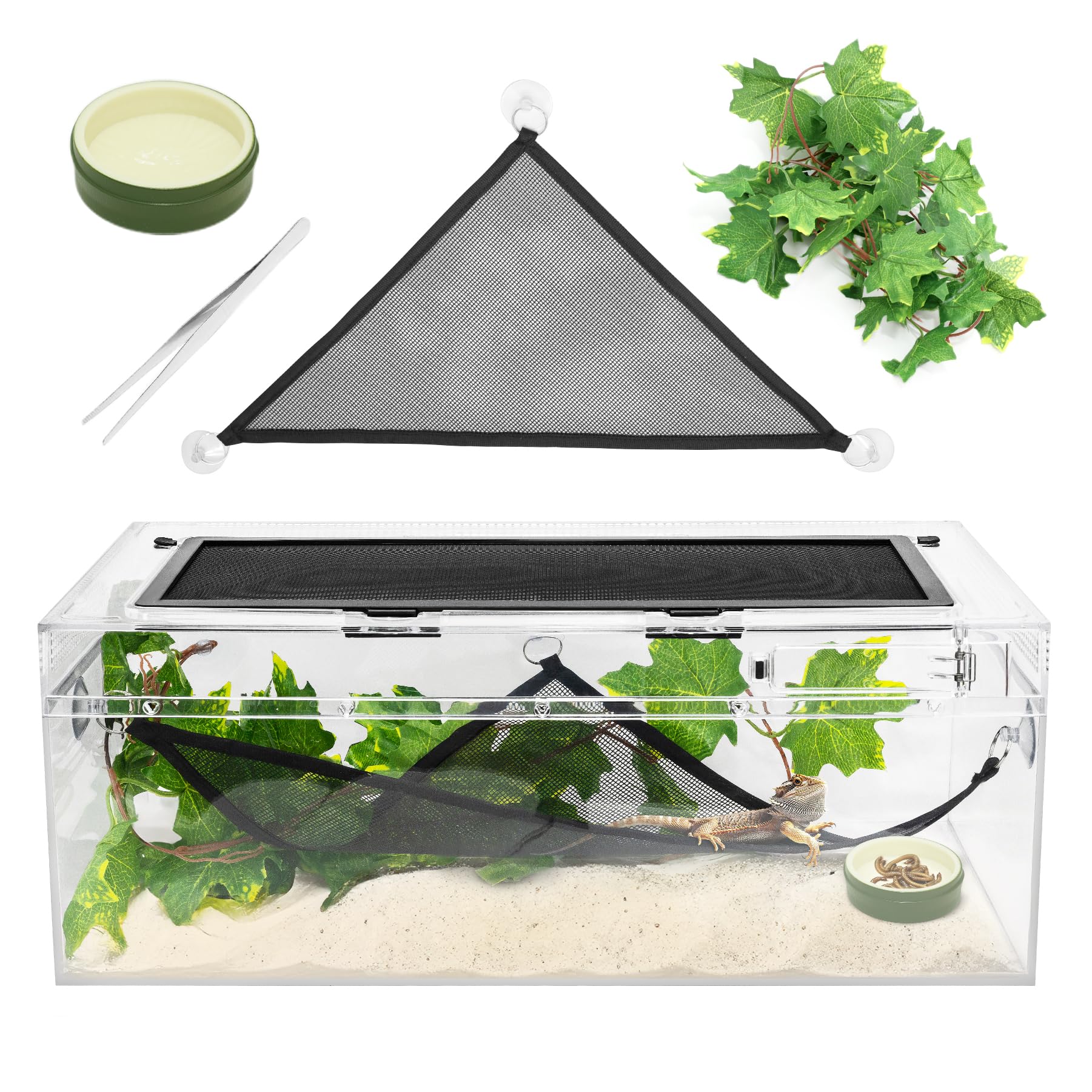 Reptilien-PC-Terrarium, 23,9 x 48,8 x 19,8 cm, Amphibien-Tank, Spinnenkäfig, geeignet für die Zucht von Leopard, Gecko, Frosch, Einsiedlerkrebse, Eidechsen, Isopoden, Vogelspinnen