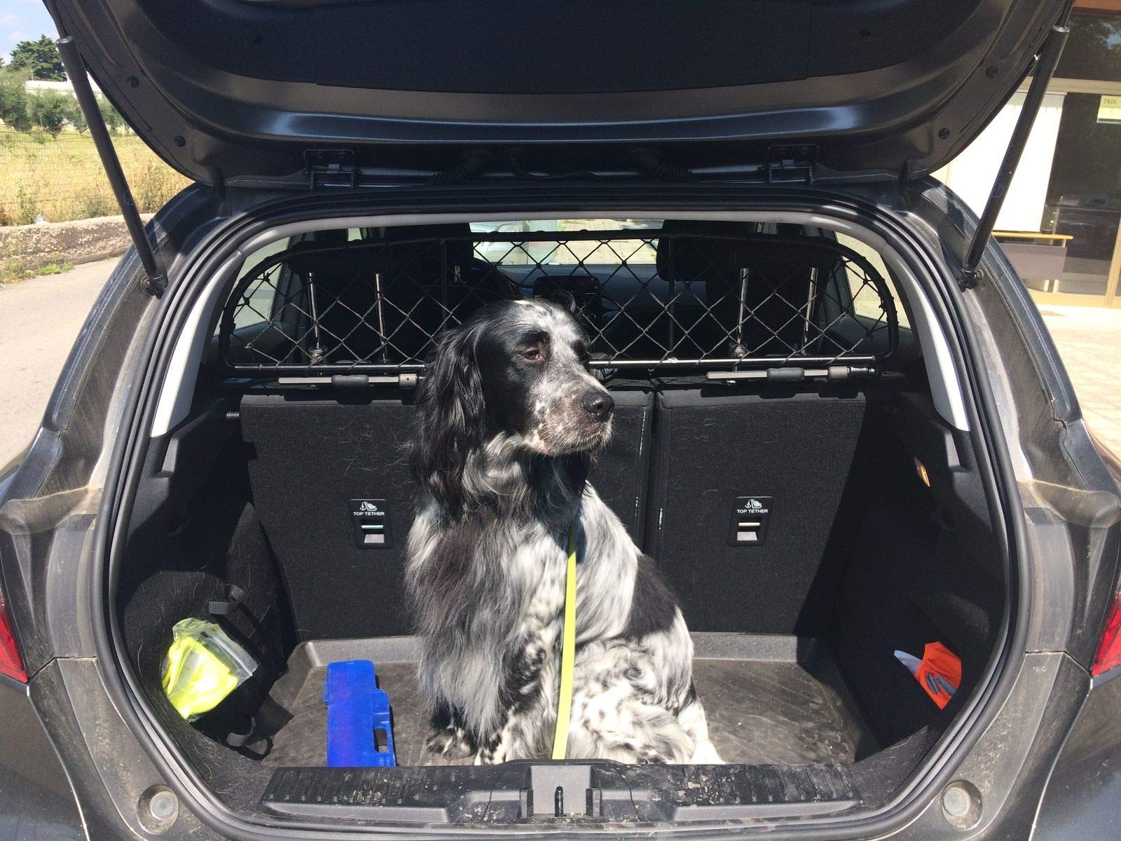 ERGOTECH Rejilla Separador Protecciu00f3n RDA65-S8, Para Perros Y