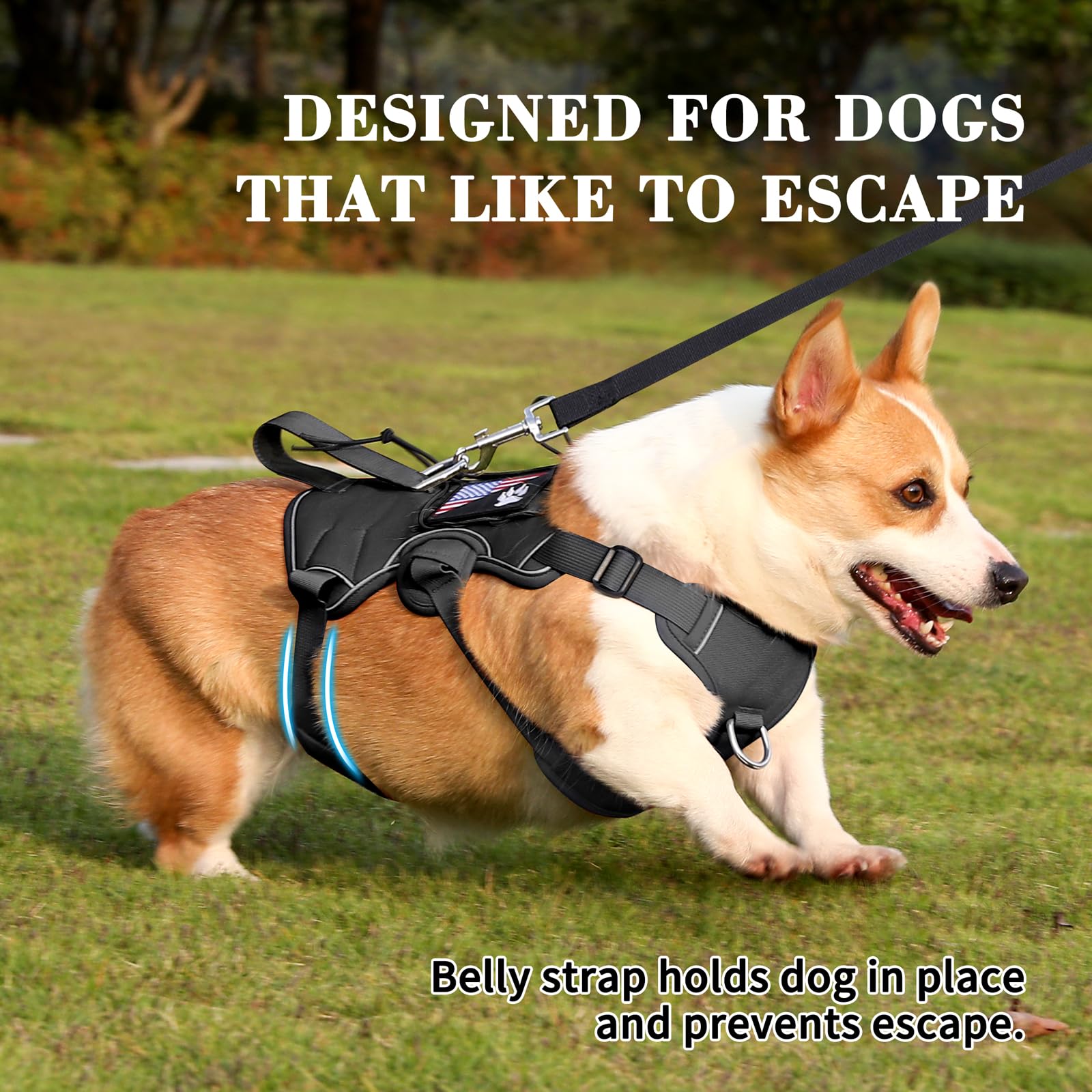 VOOPET Escape Proof Dog Harness, Soft Padded Full Body Pet Harness, Reflective No Pull Dog Harness with Handle and 2 Leash Clips for Medium Dogs Walking Hiking Training (Black,M) - image 2