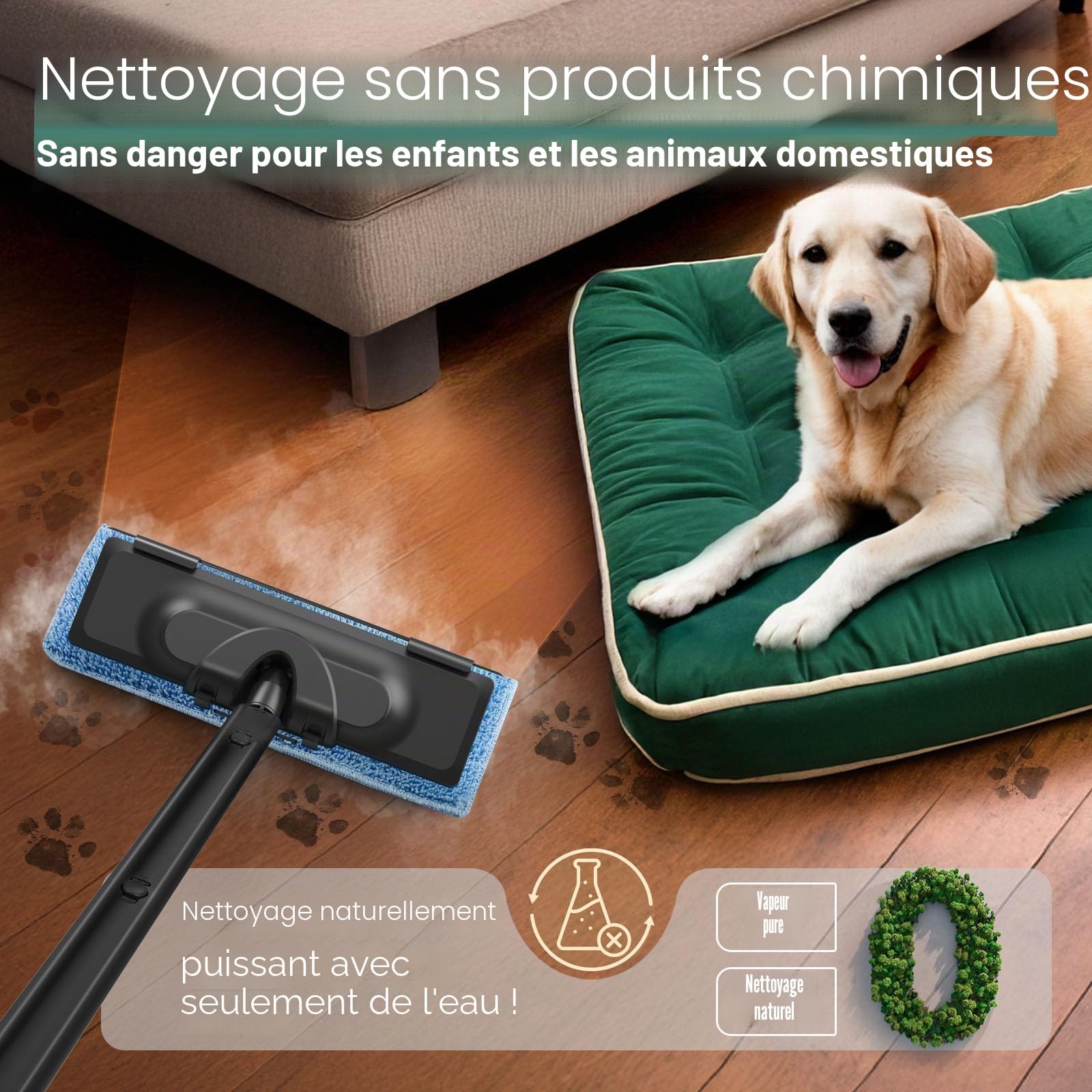 Nettoyeur Vapeur 2000W, Puissant Domestique, Vapeur Réglable/Verrouillable