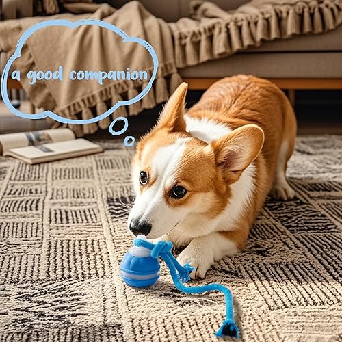 Miniatura 8 de Power Tail 2.0 - Juguete interactivo para perros con movimiento activado, juguete chirriante, bola de salto inteligente para gato, para pequeños y