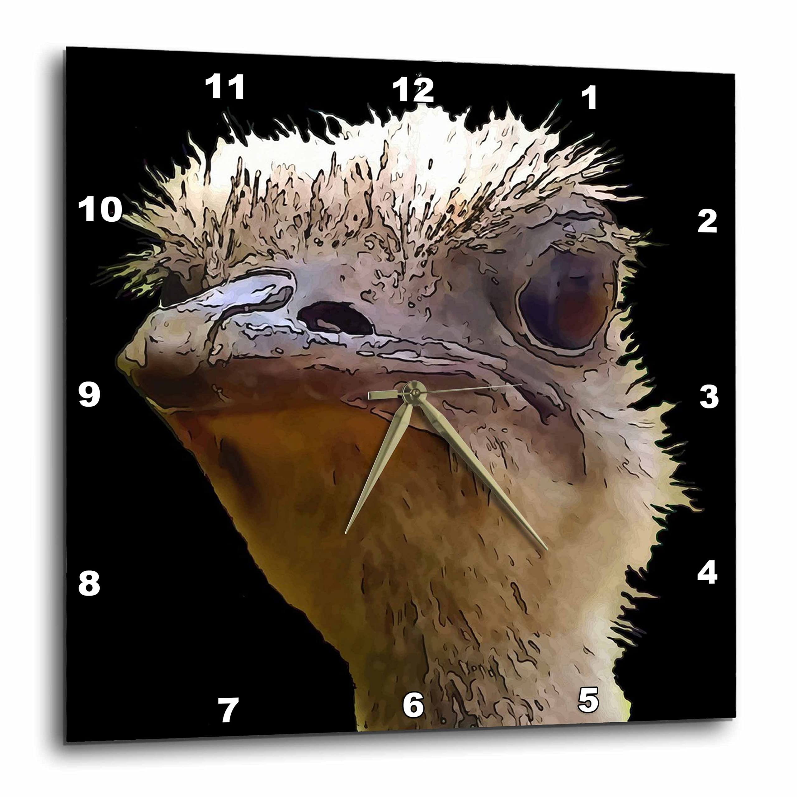 3dRose Wall Clock Silent - 15 inch - Beautiful Artistic Grumpy Ostrich Vector Cut Out - Vector Art - Ostrich