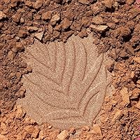 Vista 10 de wet n wild - Polvo bronceador «Color Icon» Boleto a Brasil