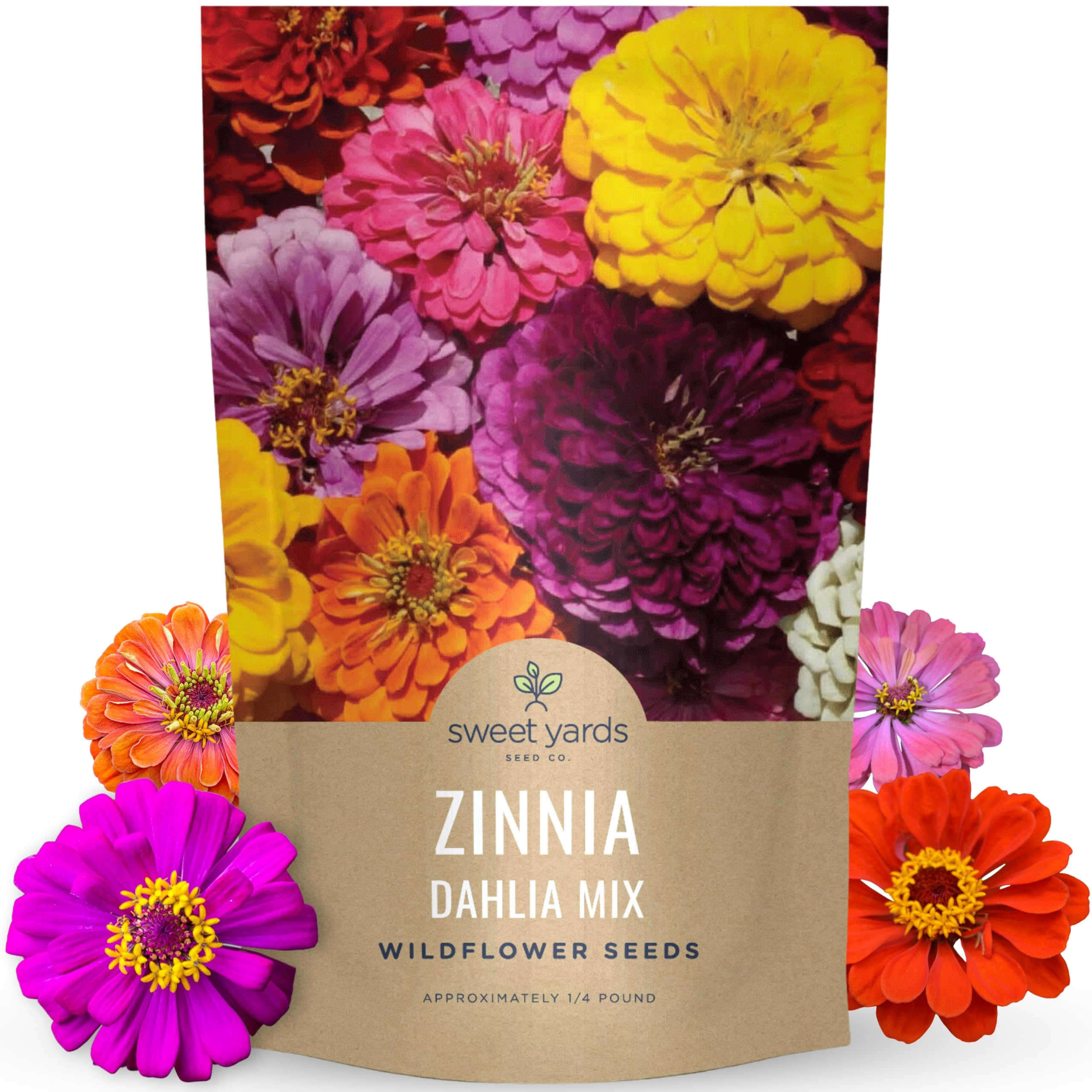 Amazon.com : Zinnia Dahlia Mix - Bulk 1/4 Pound Pouch - 15,000