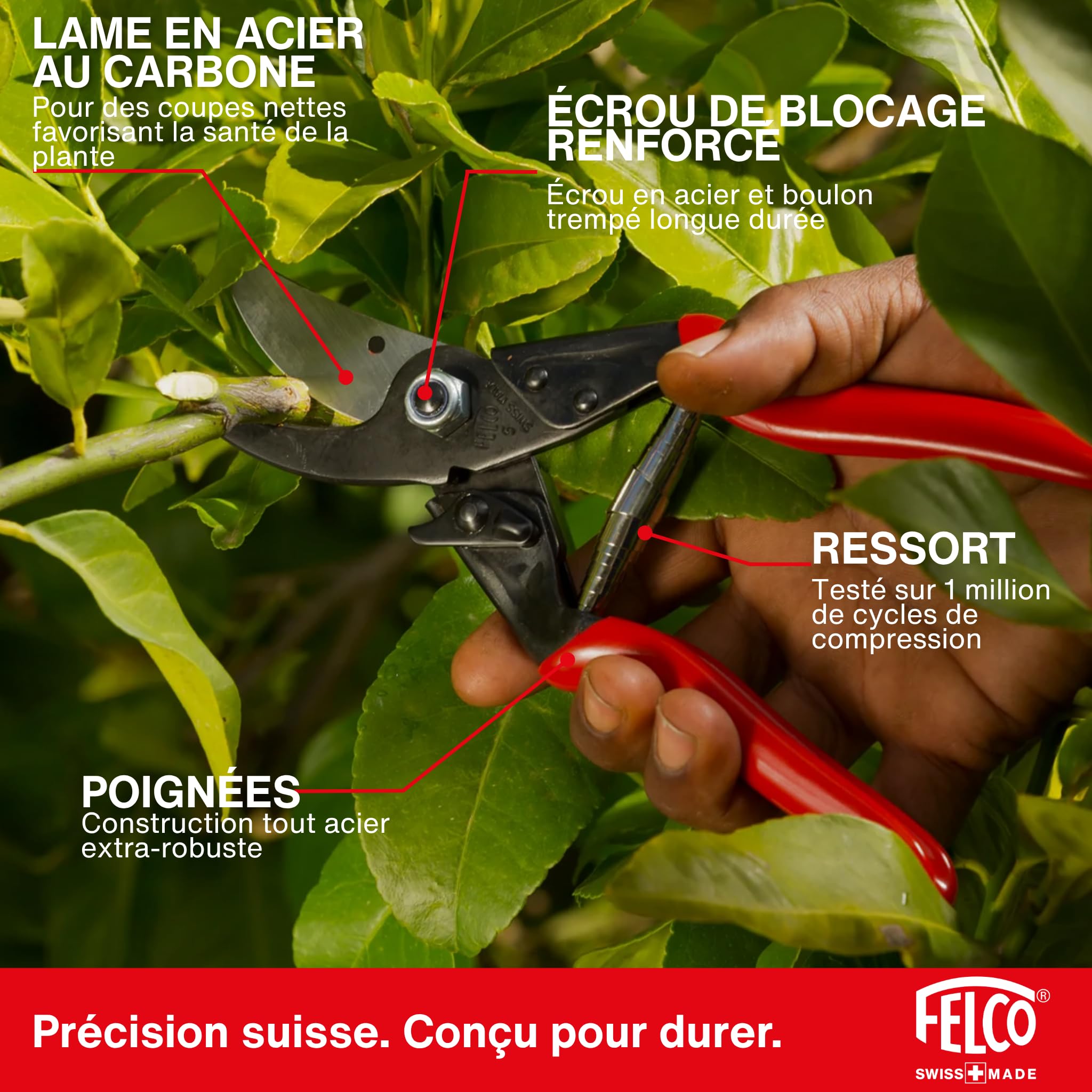 FELCO 5 sécateur puissant pour grande main droite, coupe jusqu’à 25 mm, longueur 225 mm, tête effilée pour accès facile, poignées en acier, idéal pour une taille précise au quotidien