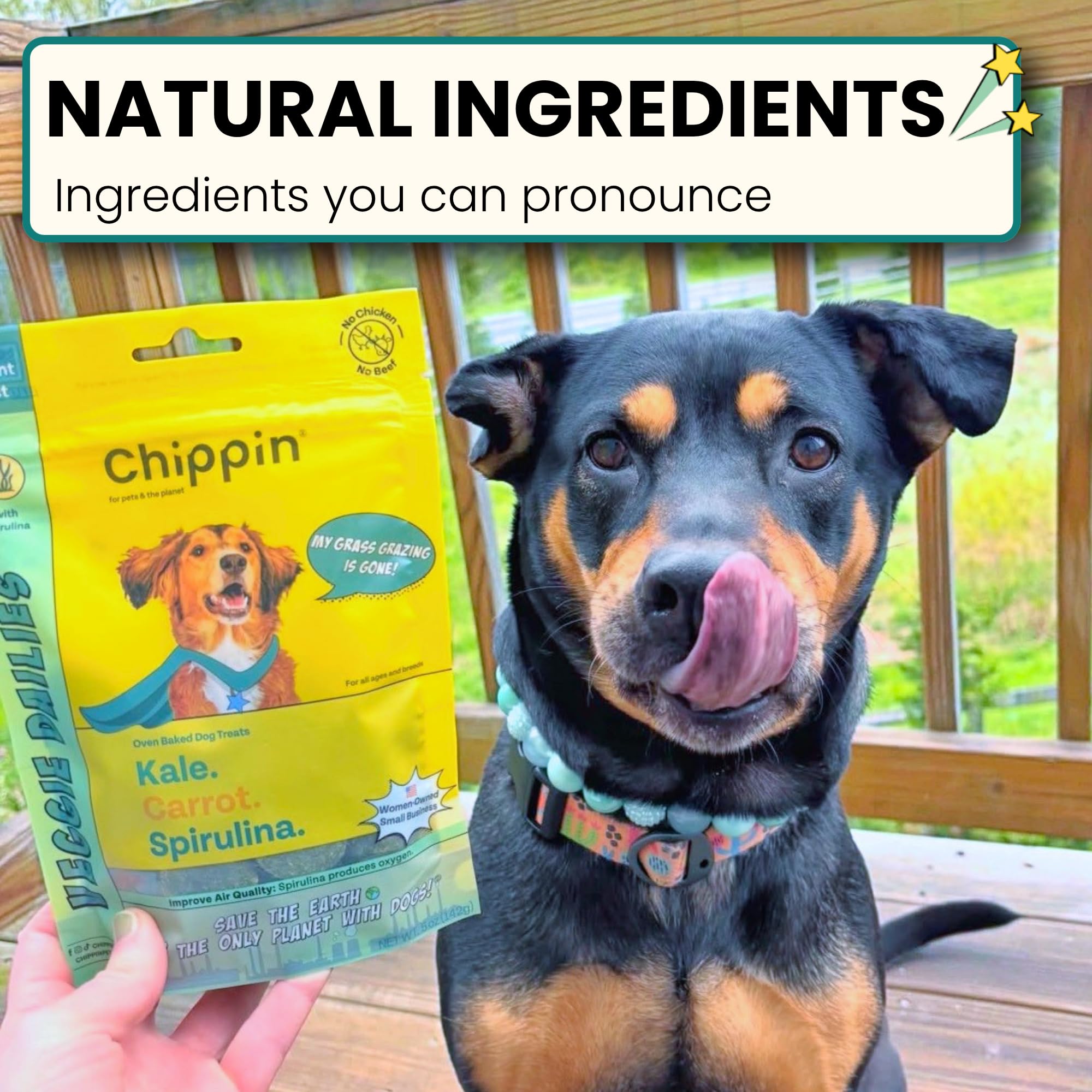 Chippin Hundeleckerli | Gesunde knusprige Hartkekse mit Hafer, Grünkohl, Flachs & Spirulina | Vegane Leckerlis für kleine, große Hunde | Welpen | backofengebacken mit natürlichen Zutaten |