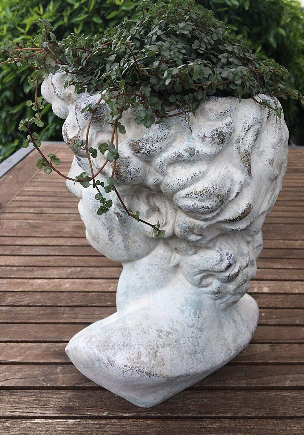Yasirona Villa Lila Valo Plant Bust Garden Bust Roman Greek | Desertcart  Maldives