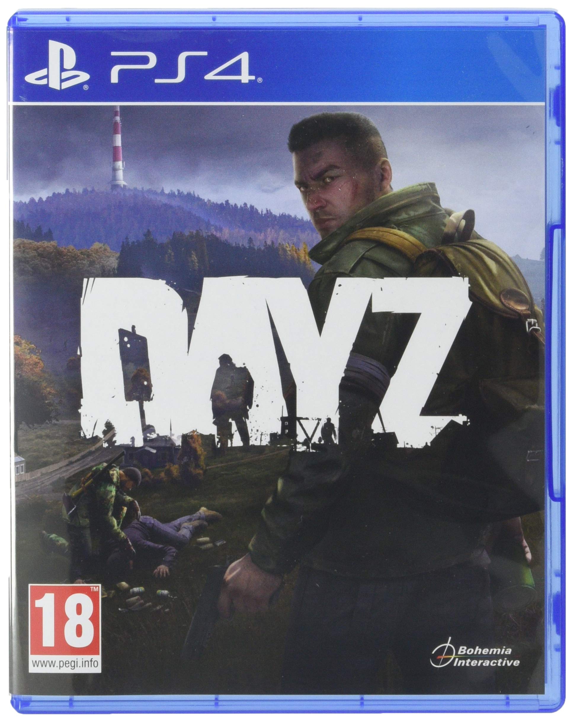 DayZ