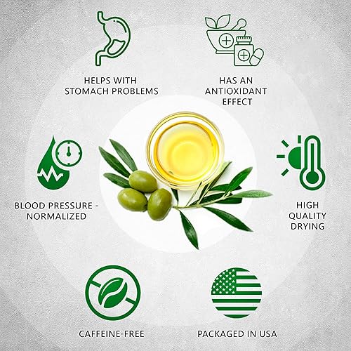 Miniatura 2 de TeaDreamTea Té de hoja de olivo, 100 bolsas, juego de té de oliva, bolsas de té de hierbas (100 unidades) - Sin cafeína - Té de hierbas de hojas