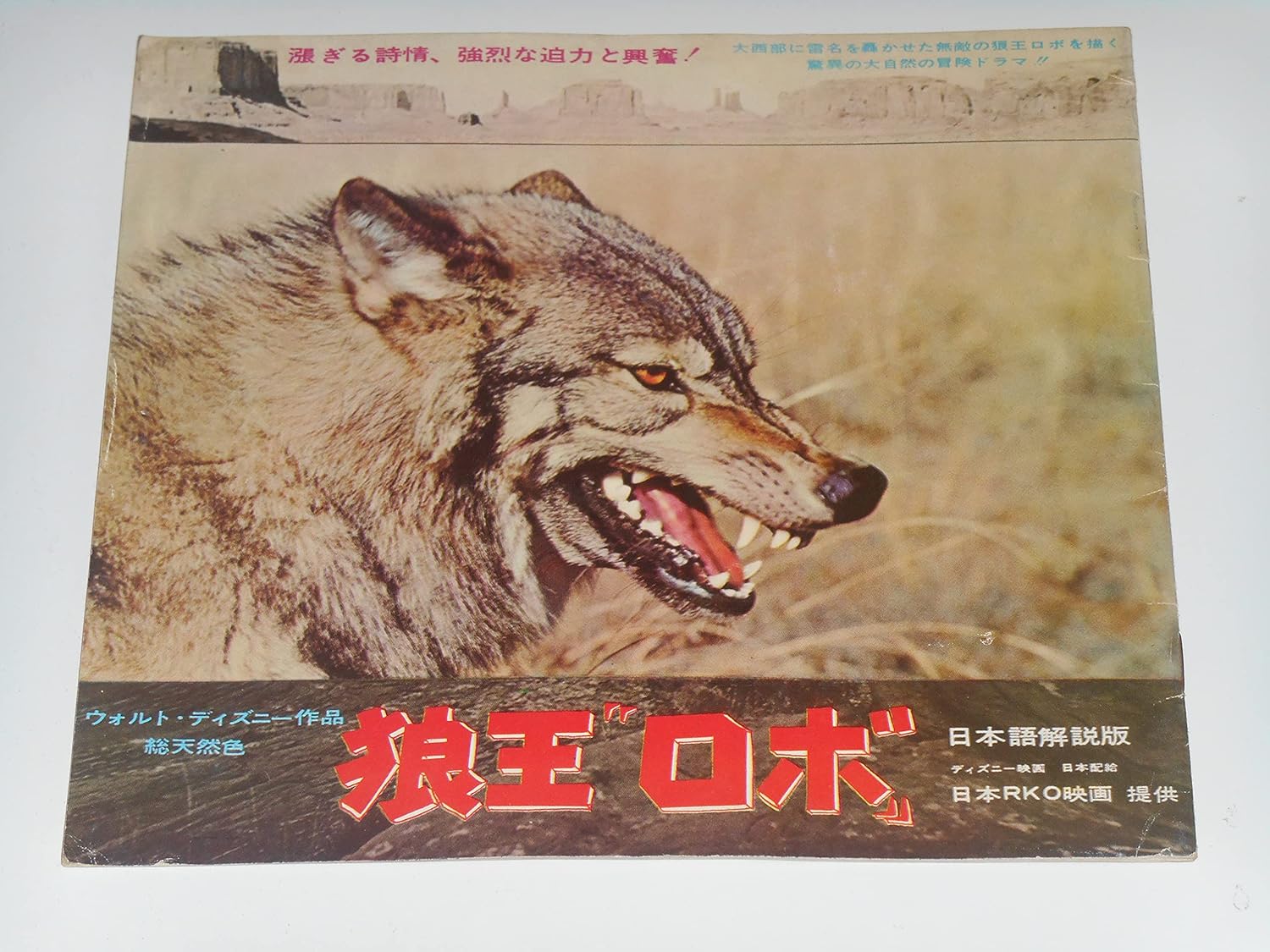 Amazon.co.jp 1963年映画パンフレット 狼王ロボ ウォルト・ディズニー作品 映画パンフレット ホビー 通販