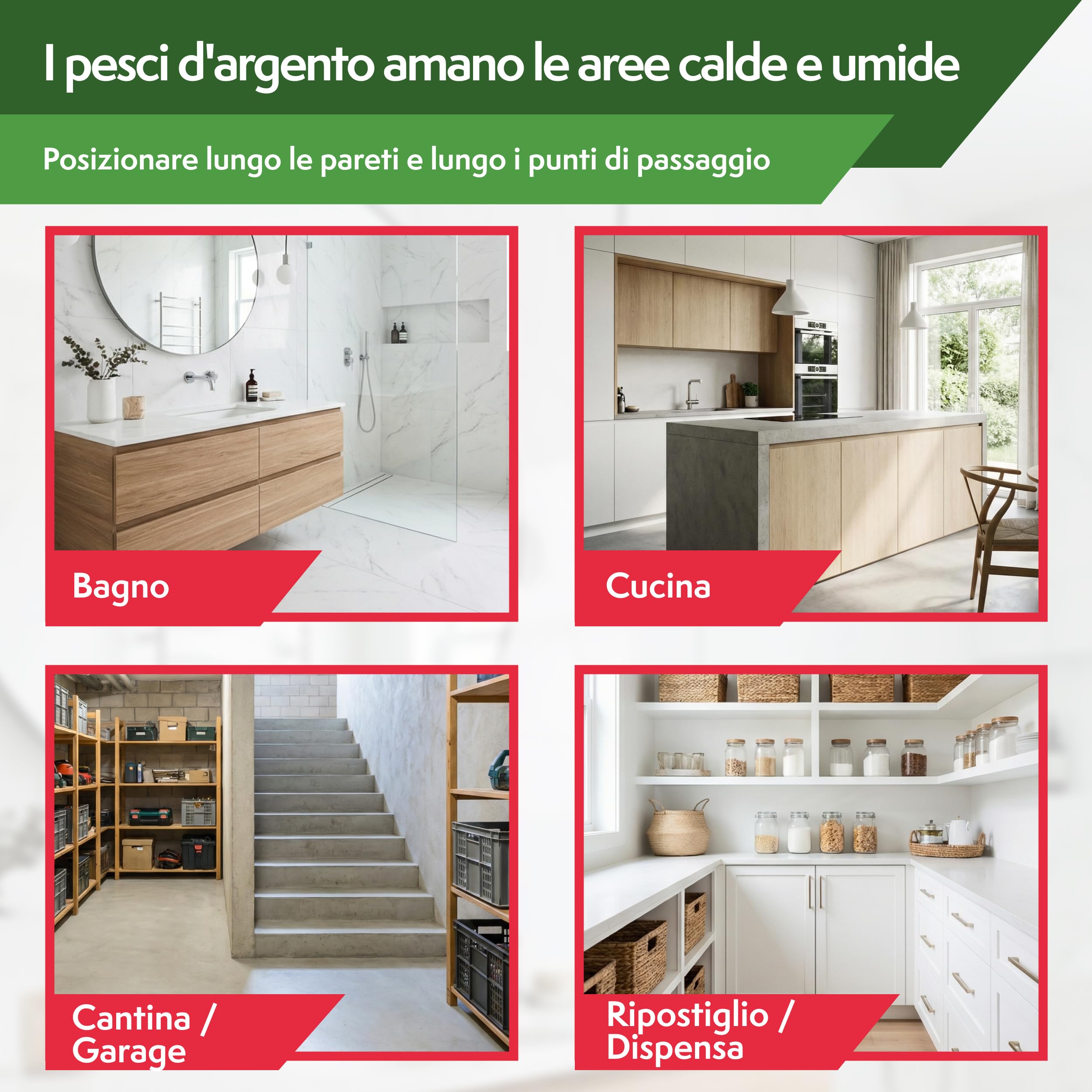 Pattler Trappola Pesciolini d'Argento con Finestre di Controllo – 12 Pezzi. Trappole Pesciolini Argento con Sistema Adesivo Senza Veleno per Eliminarli e Controllarli in Bagno, Cucina e Cantina.