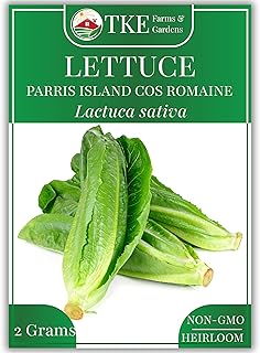 Parris Island Cos Romaine Lettuce Seeds, 2000+ Non-GMO, Heirloom Seeds, Enjoy Garden-to-Table Salad Greens, Includes Easy to Follow Instructions (1 Pack)