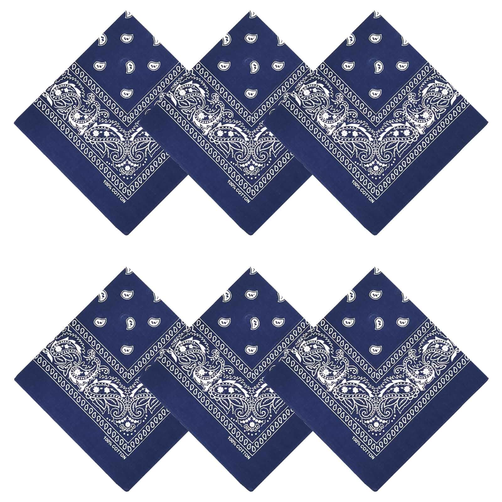APIGANIZ 100% Cotton Bandanas, 21 x 21 inches, Set of 6 Paisley