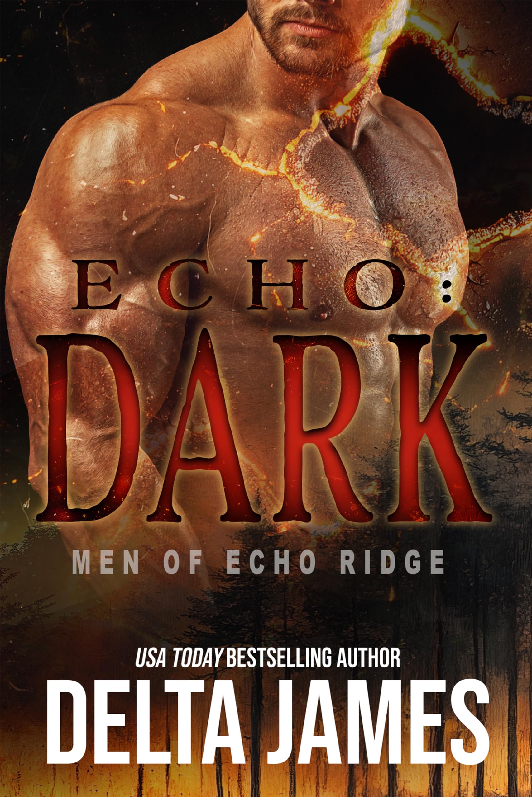 Echo: Dark: A Military Romantic Suspense (Men of Echo Ridge Book 3)