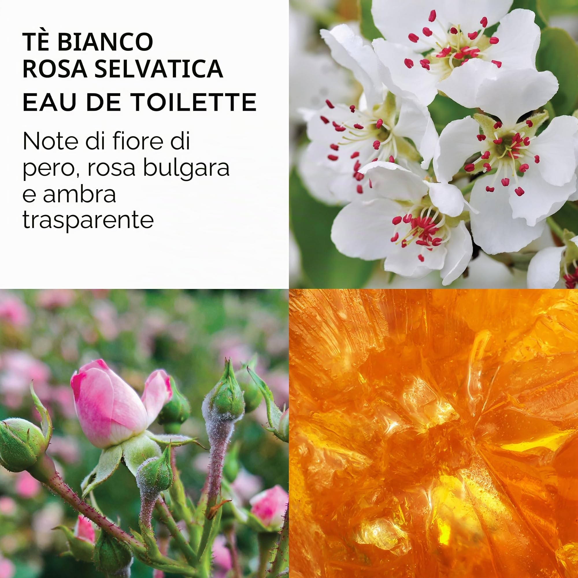 Elizabeth Arden Cofanetto da tè bianco, 3 pezzi, set regalo