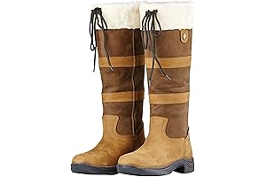 Dublin Boots II: Forging a Legacy of Comfort and Durability