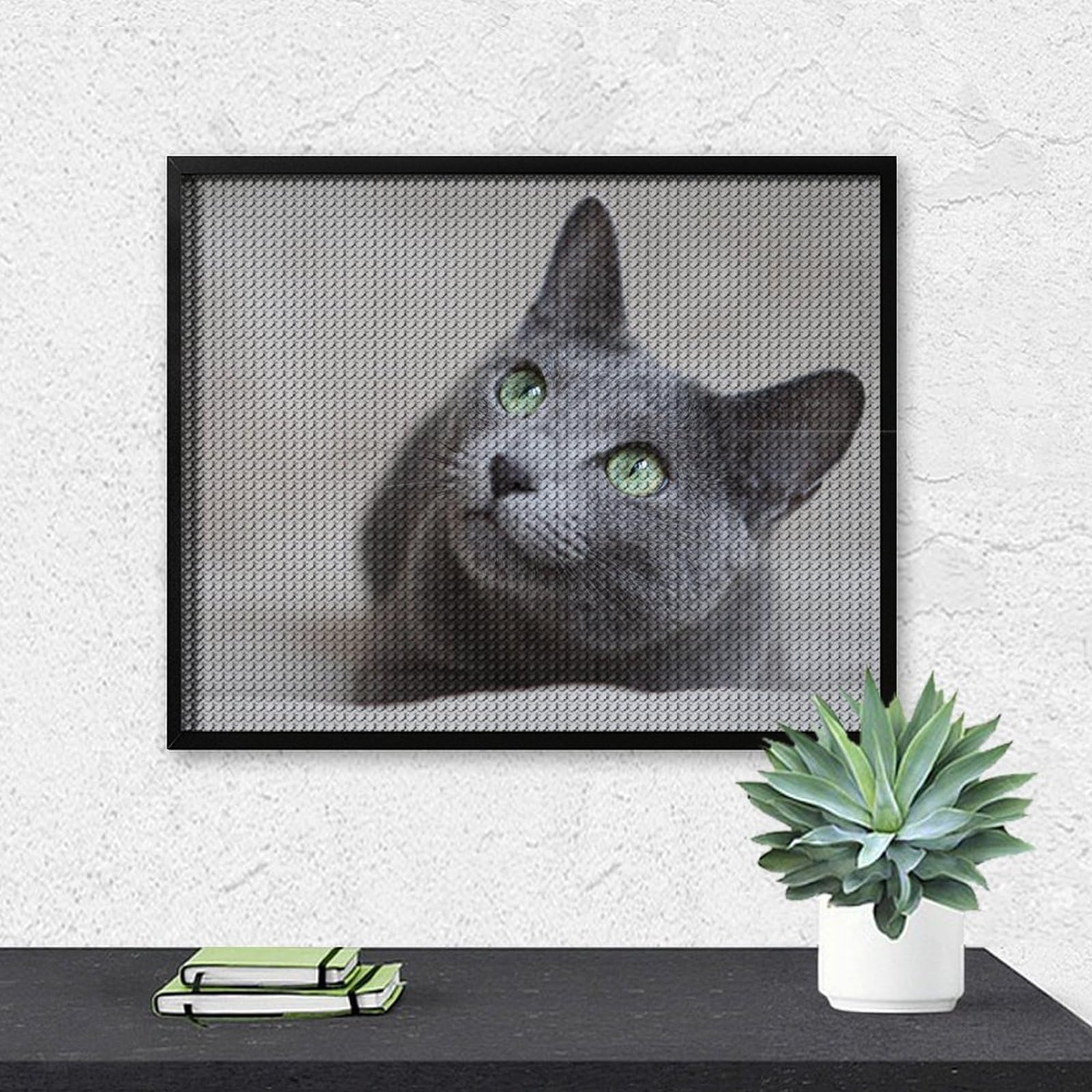 Amazon.co.jp: ダイヤモンドアート ロシアンブルー ネコ 猫 猫柄 灰色