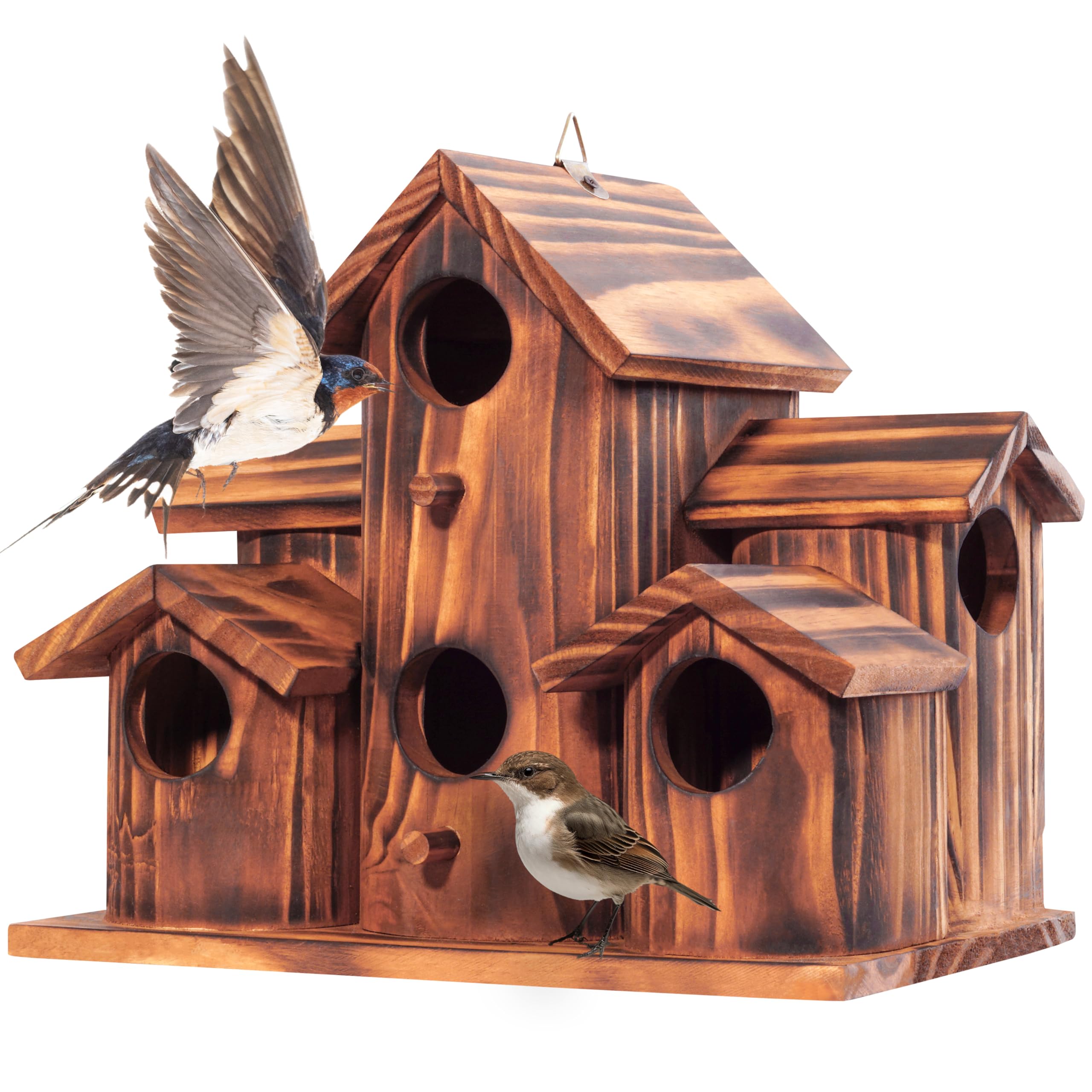 Nichoir à oiseaux multi-chambres rustique pour observer la nature sur votre terrasse