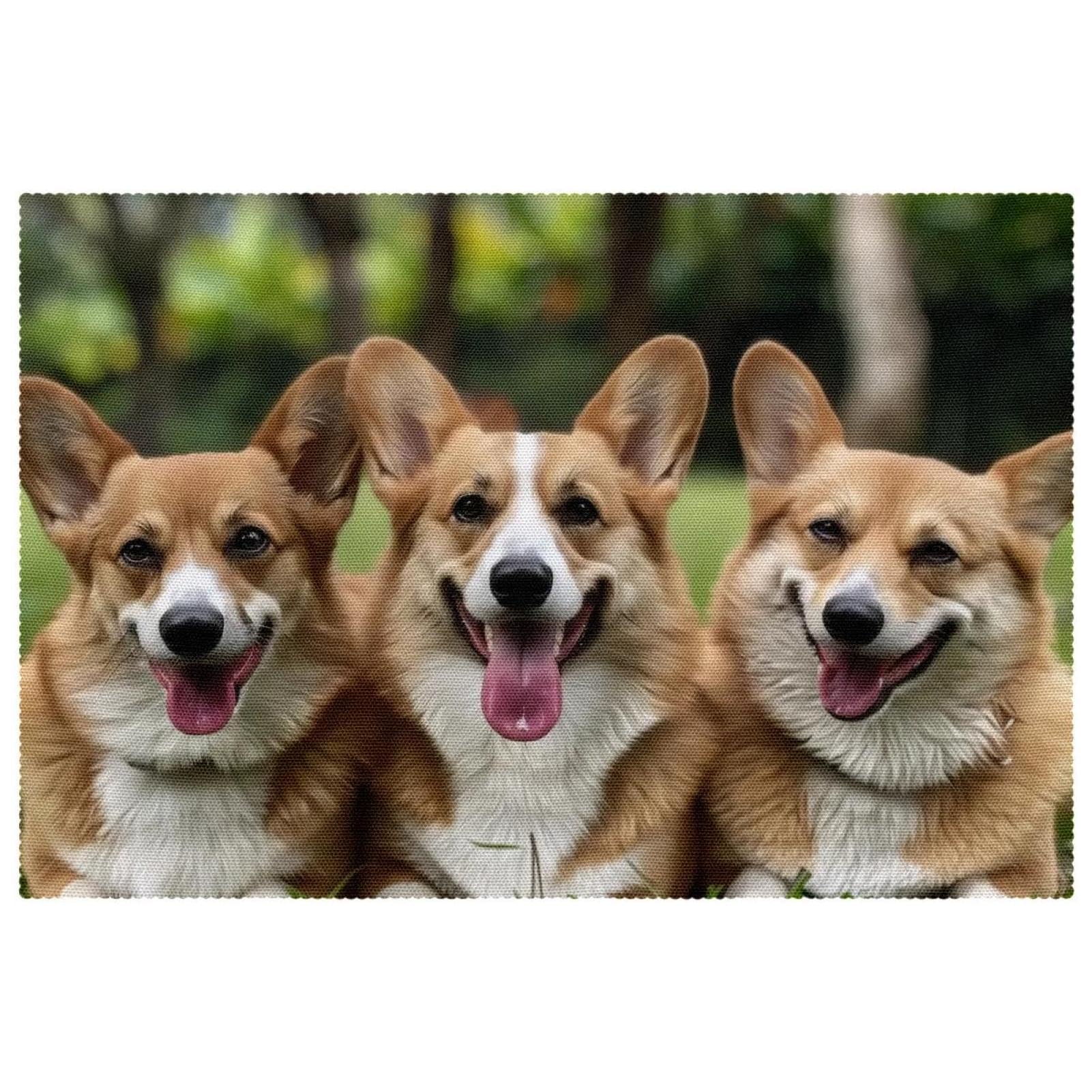 Set de table corgi pour repas de famille antidérapant sur pelouse
