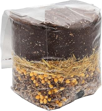 Mega Mix All-in-One Mushroom Grow Bag