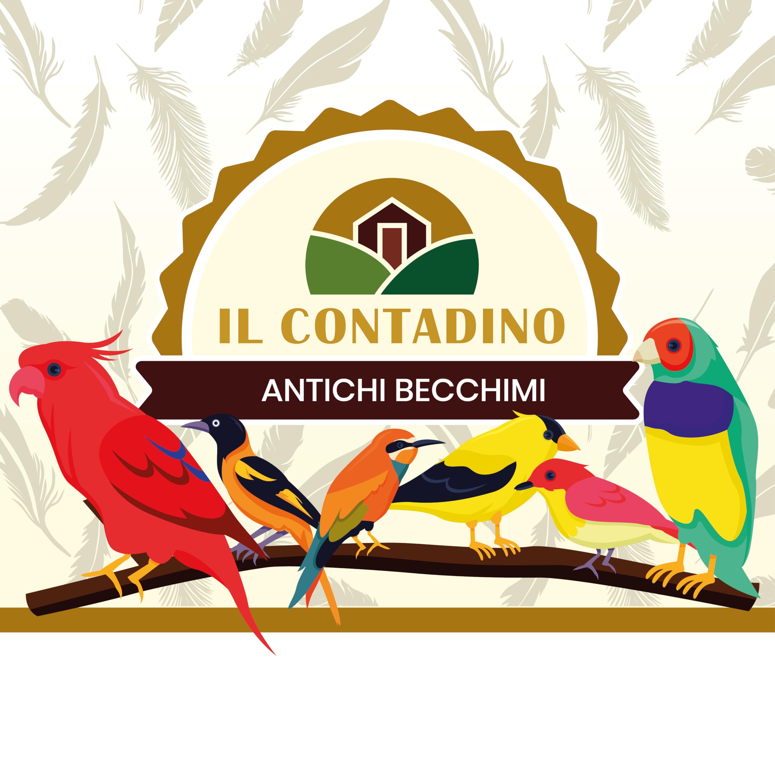 Il Contadino - Antichi Becchimi | MISCUGLIO per PARROCCHETTI | Formula ricca di semi Selezionati adatta per tutto l'anno, No OGM, 100% Vegetale, Assenza di scarti. Qualità Superiore (20 Kg)