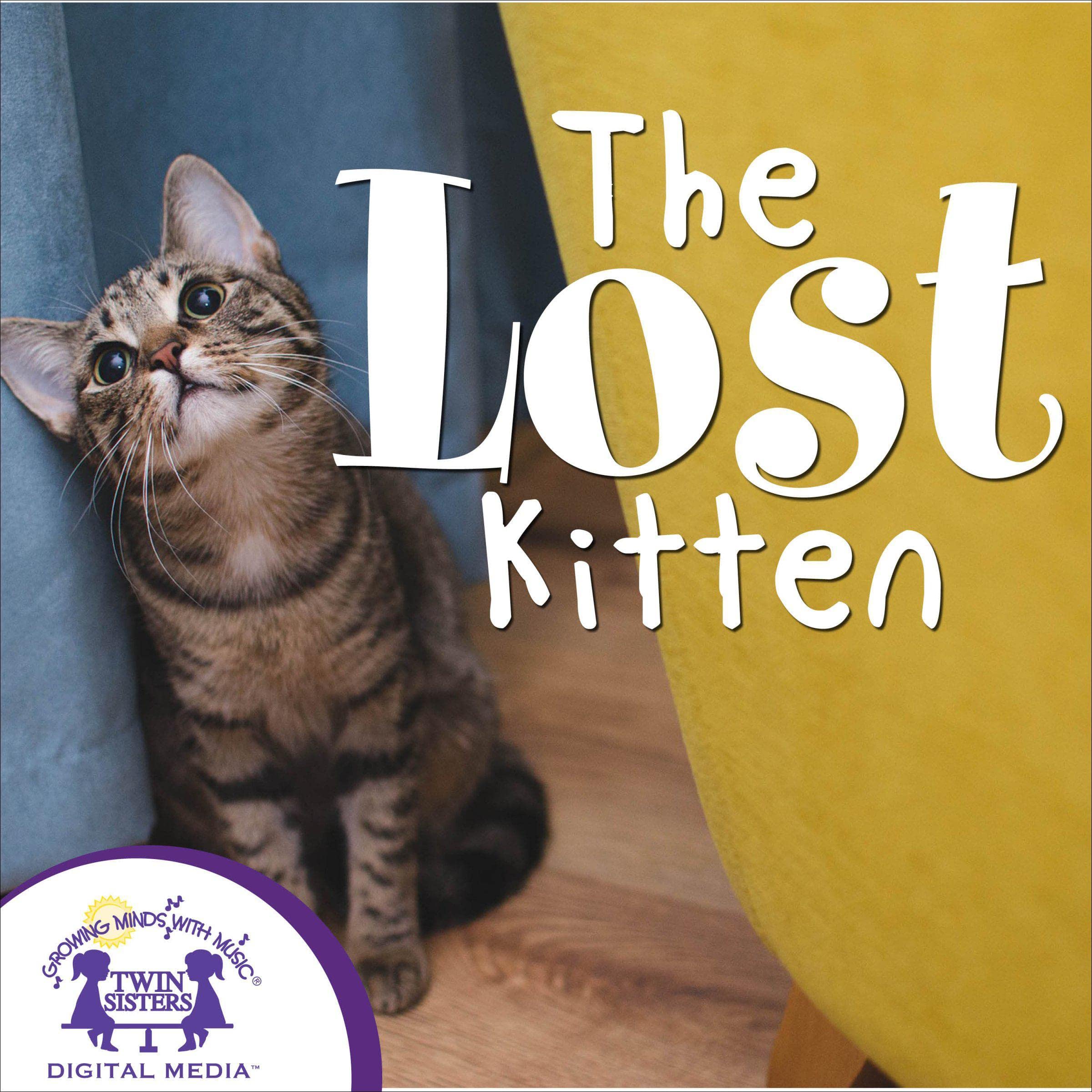 Cover art for The Lost Kitten
