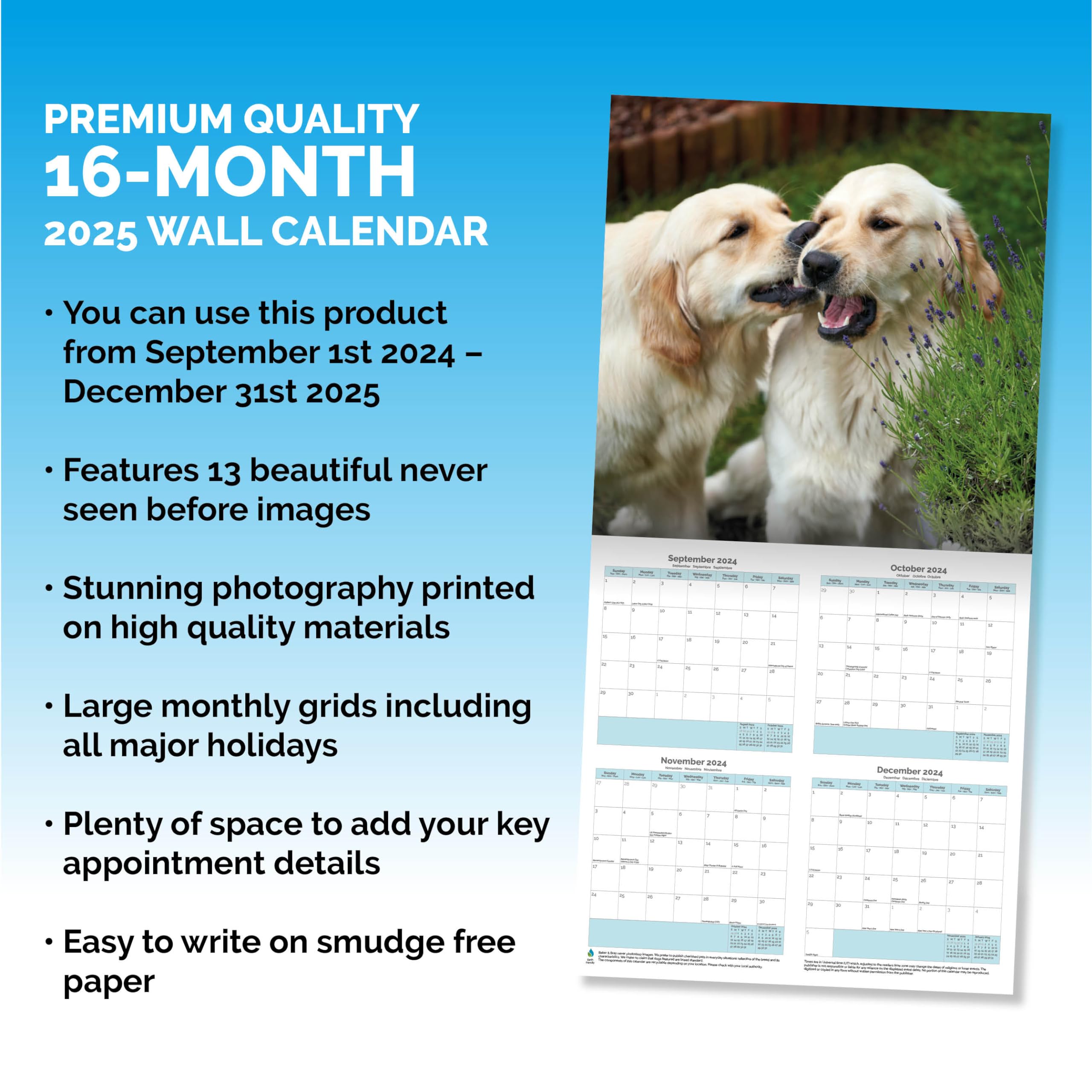 Baker and Bray Golden Retriever Calendar 2026, Large Square Wall Calendar With Organisational Stickers, 16 Month - Image 3