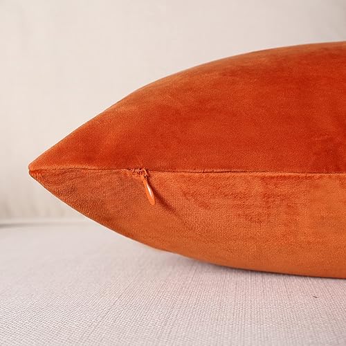 Miniatura 3 de MZPSO Juego de 2 fundas de cojín cuadradas de terciopelo súper suaves y sólidas, decorativas, para sofá, dormitorio o automóvil, 12 x 20 pulgadas,