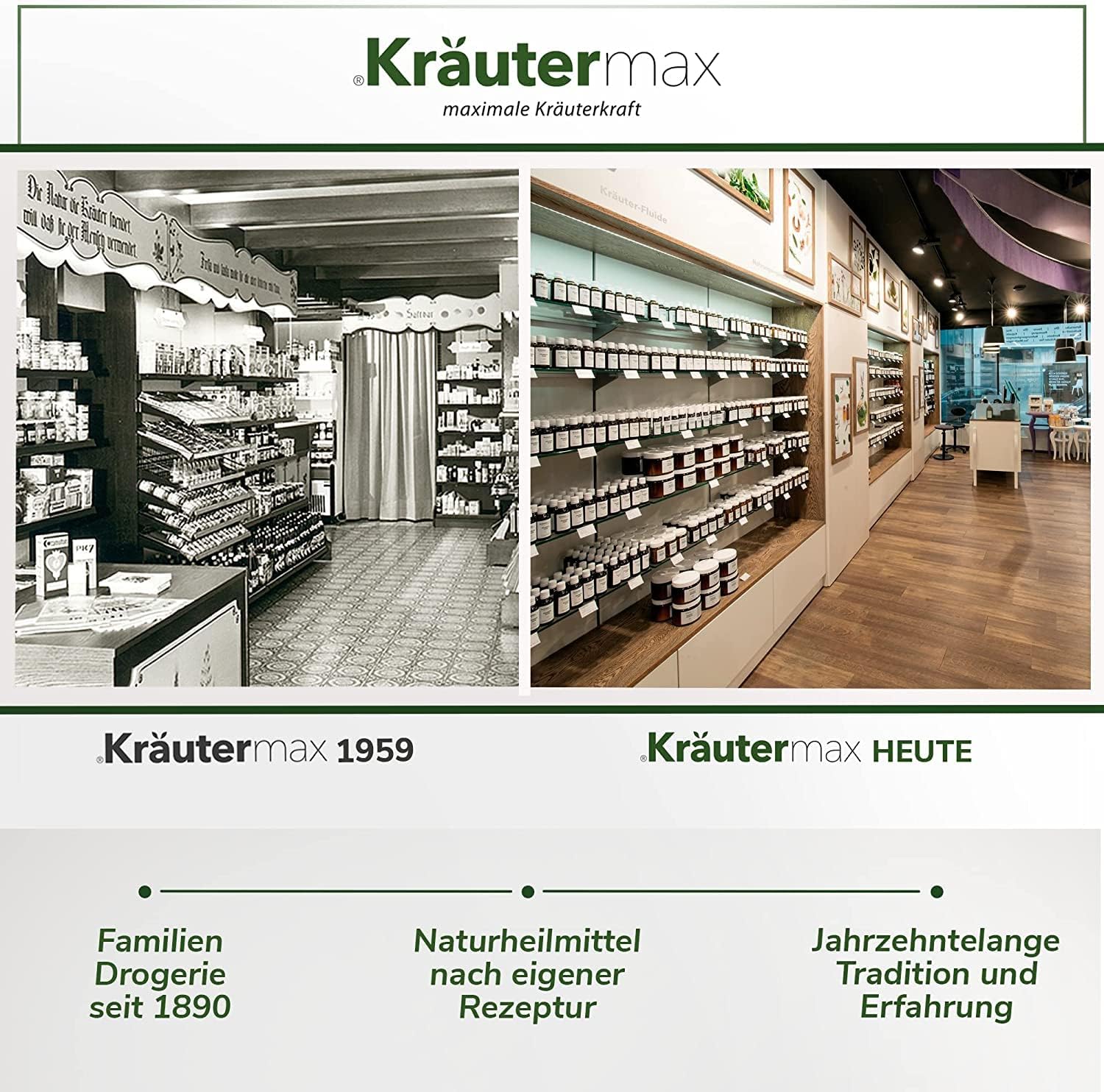 Kräutermax Olivenblatt Extrakt Kapseln mit 500 mg Olivenblattextrakt und 100 mg Oleuropein, 60 Stück