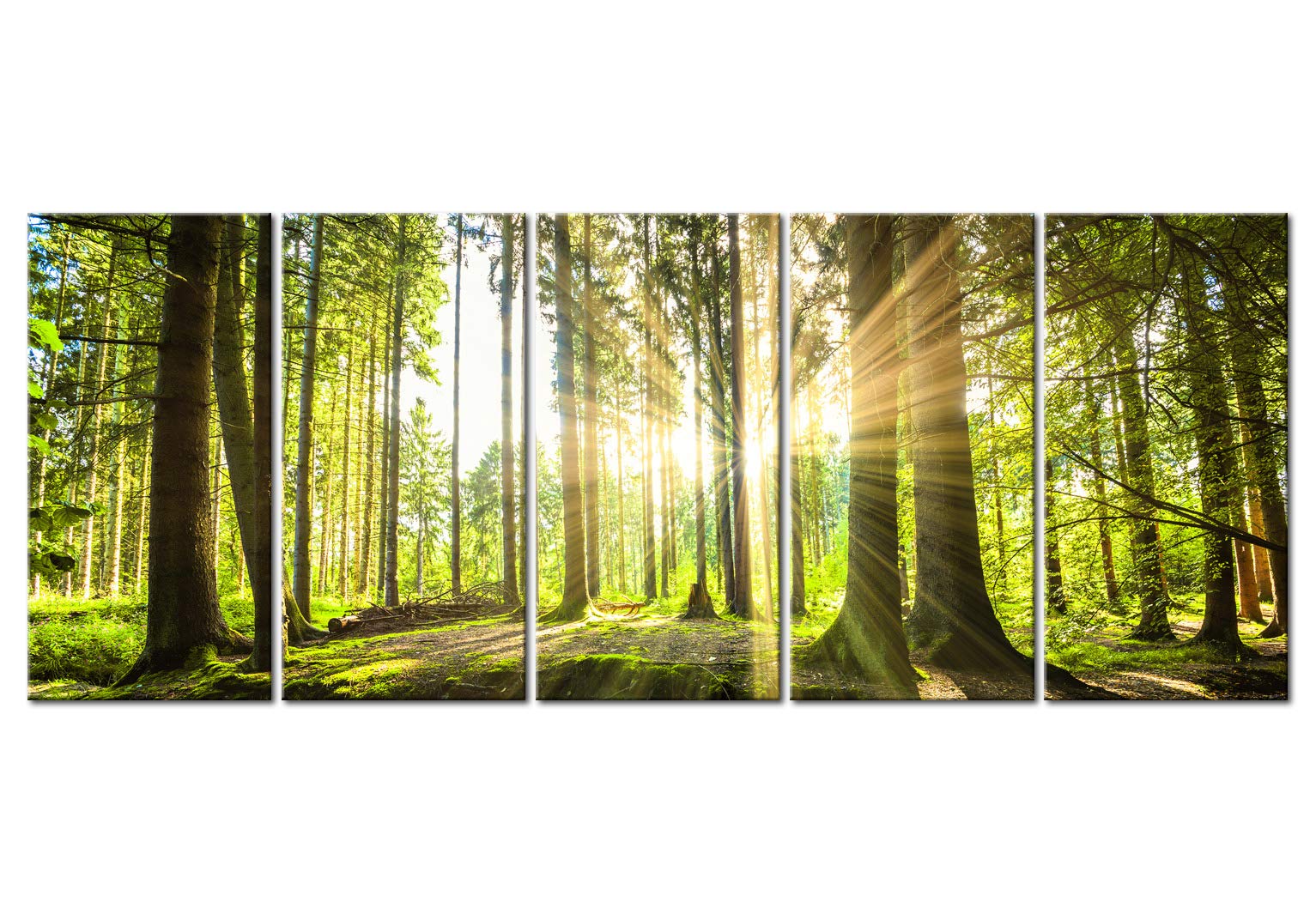 B&D XXL - Leinwandbild Landschaften Natur, 100x40 cm, 5-teilig, Wohnzimmer | Hochwertige Leinwand, sofort aufhängbar, ideal fürs Wohn- oder Schlafzimmer, wasserfest und lichtecht, langlebig, stilvoll