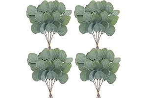 24Pcs Artificial Silver Dollar Eucalyptus Greenery Plant Stems for Home Decor