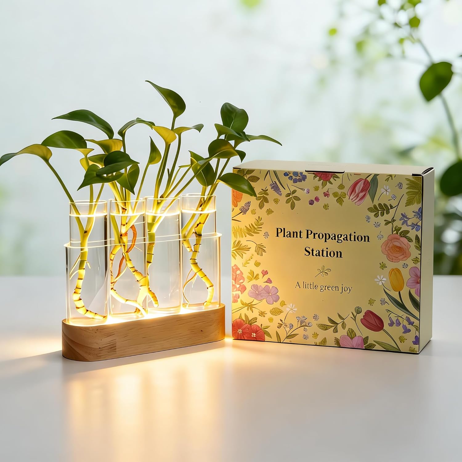 Plant Propagation Station with LED Lights, Wooden Stand, 4 Glass Test Tubes for Hydroponic Plants, 3 Lighting Modes 9 Brightness, Unique Gift for Plant Lovers