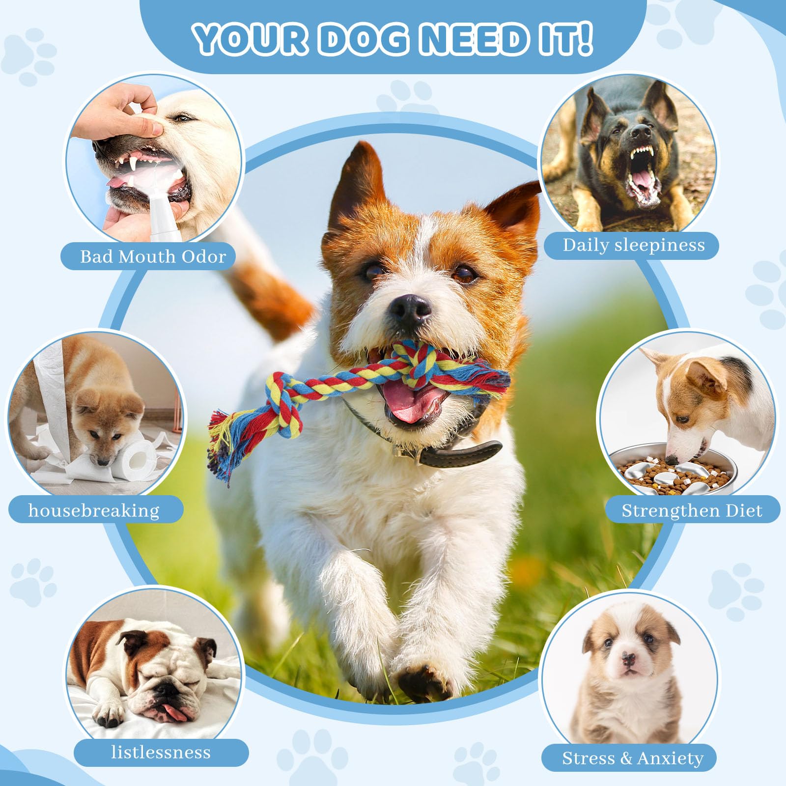 Hundespielzeug, Baumwollseil, robustes Hundespielzeug, mehrfarbige Seile, Spielzeug für Hunde, Hundezubehör für kleine und mittelgroße Hunde, Welpenzubehör (mehrfarbig, 18 cm)
