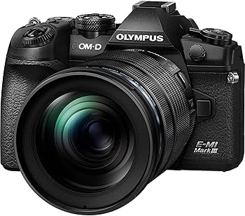 Amazon.com : OM SYSTEM Olympus OM-D E-M1 Mark III Black Camera