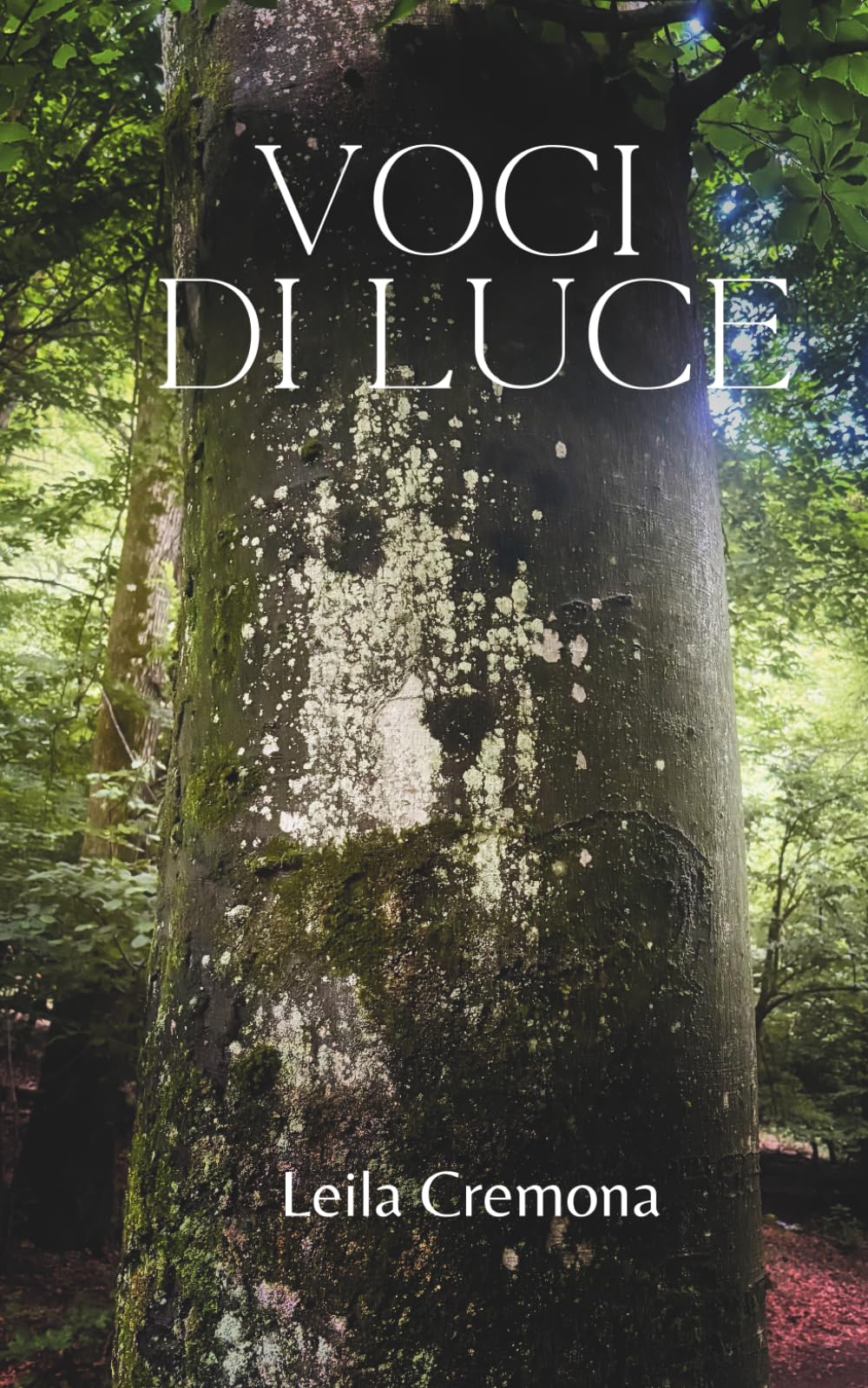 Voci di Luce