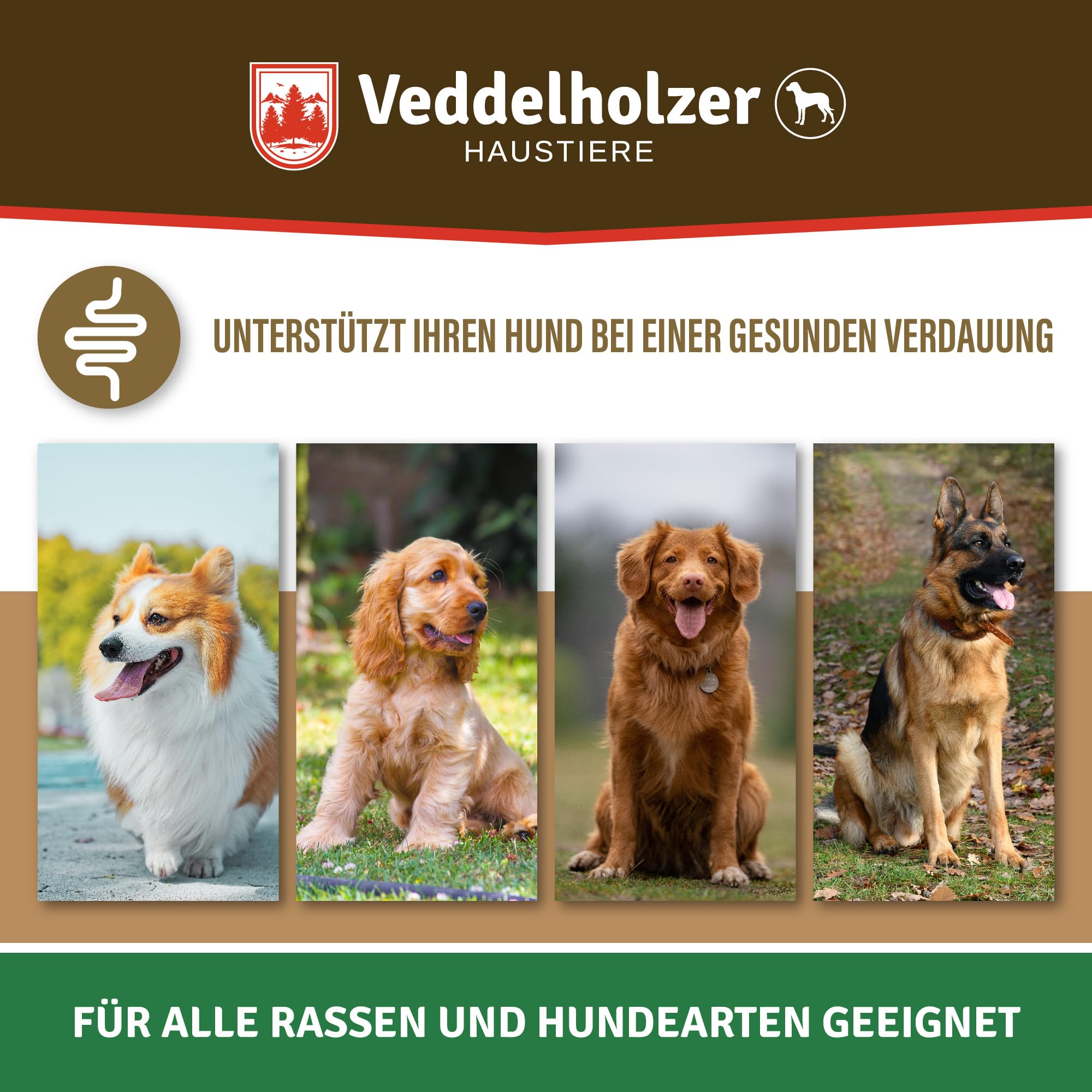 Veddelholzer Hunde Probiotika zur Unterstützung der Darmflora als Nahrungsergänzungsmittel mit natürlichen Inhaltsstoffen perfektes Hundezubehör als Verdauungssnack oder leckerli für Hunde