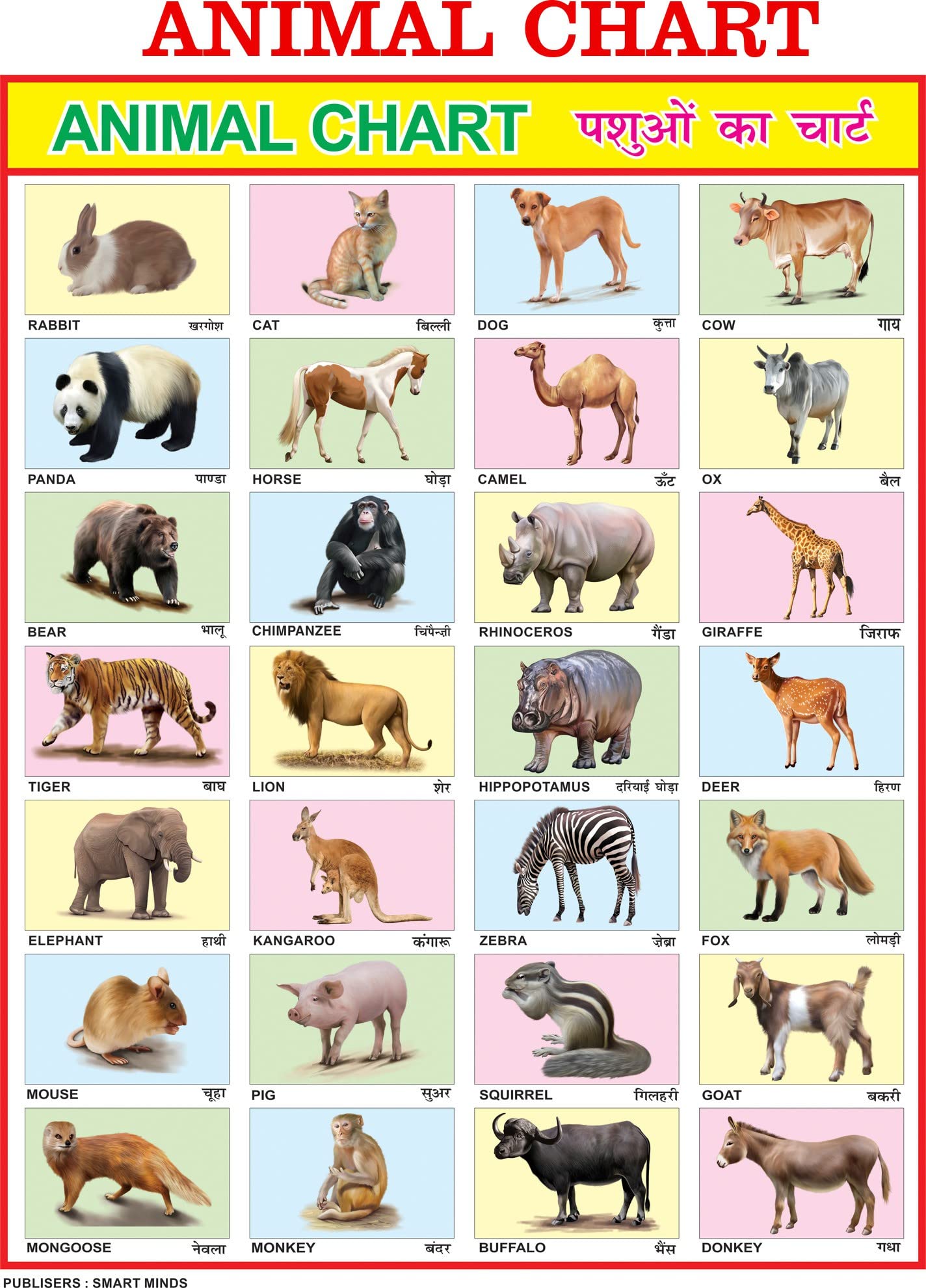 Eoi Marketing English Hindi Animals Chart For Kids | 28X40 Inch | Laminated Chart | Waterproof, Non Tearable, Paper Print, Rolled-picture-23