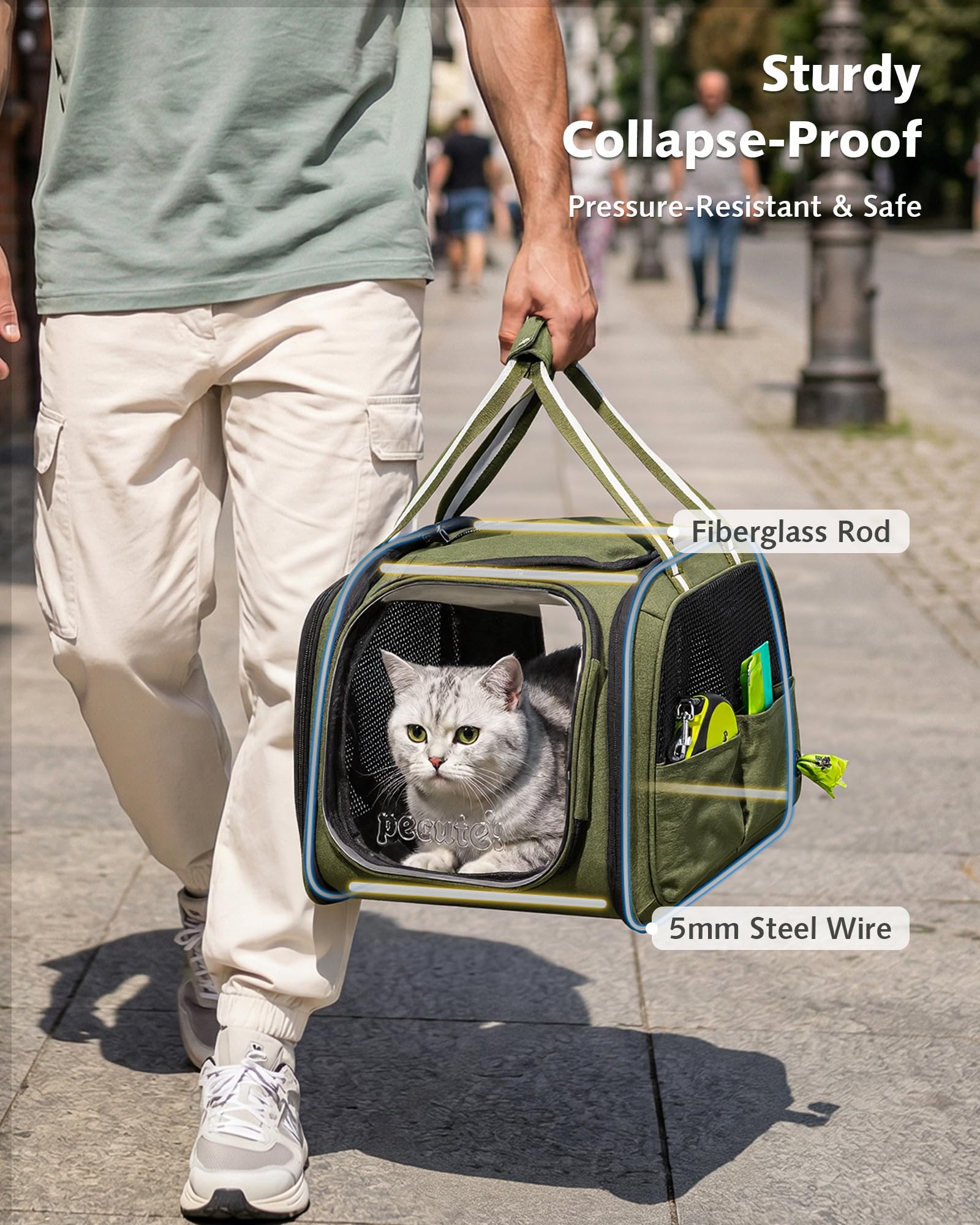 Pecute Sac Transport Chat Grande Capacité, Sac De Transport pour Chat Respirant, Stransport À Bulles pour Chats Curieux, Sac De Transport pour Chien, Vert, M