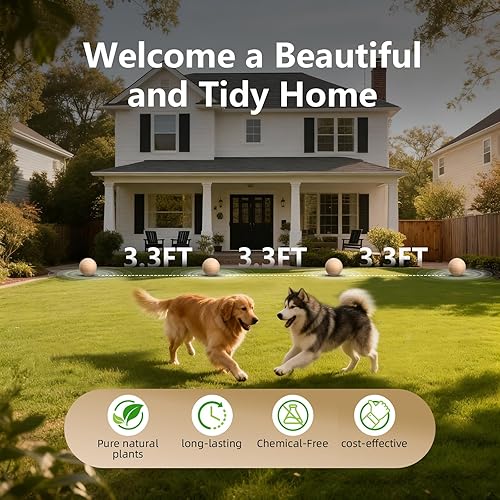 Miniatura 4 de Repelente de ratones, 36 bolas, repelente de roedores de menta para uso en interiores y exteriores, disuasorio seguro de ratones de larga duración,