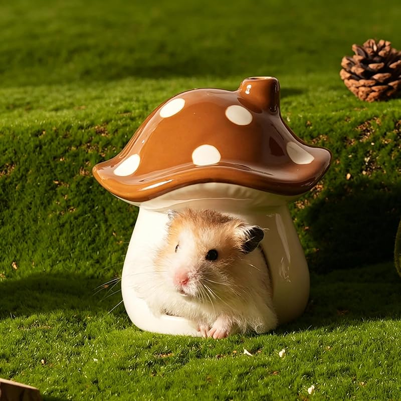Esconderijo de Cerâmica para Hamster com Design de Cogumelo Zhilishu PET25
