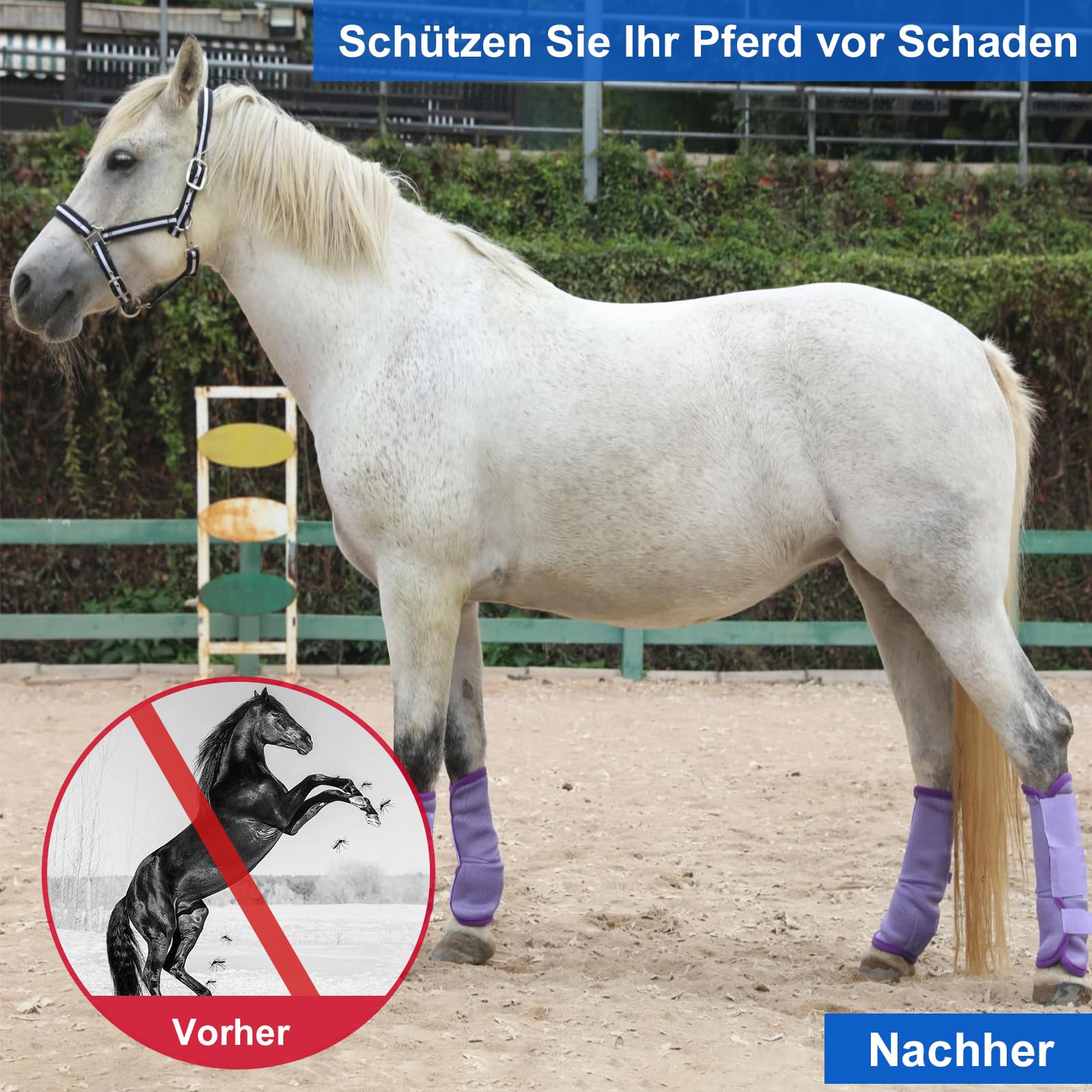 Stinchiere Cavallo Equitazione, Ghette Antimosche Traspiranti per Cavalli a Maglia fine, con Funzioni Protettive e di Sostegno, Protezione dai UV