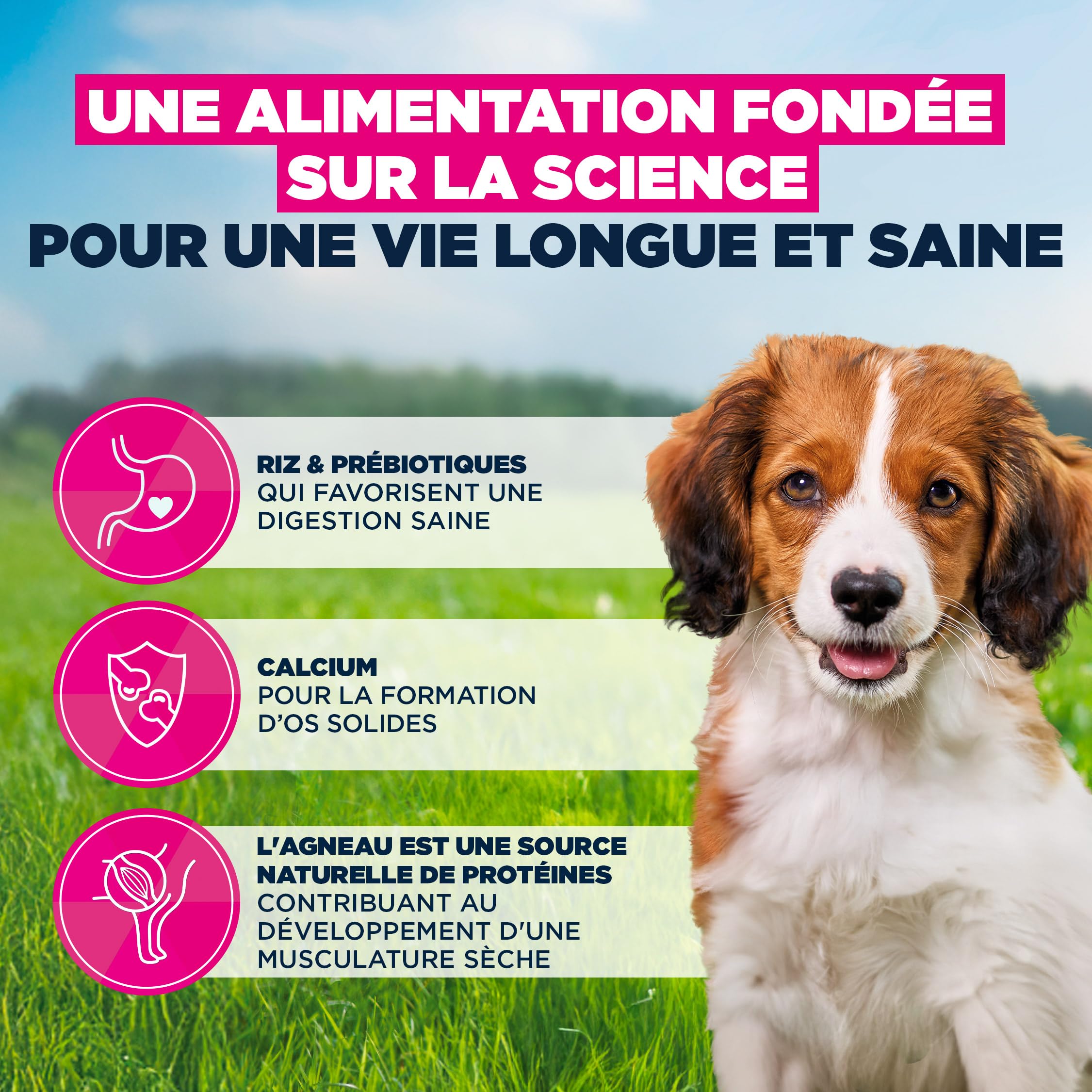 EUKANUBA Life Care Chiot Petite/Moyenne Race Agneau Riz 12 kg