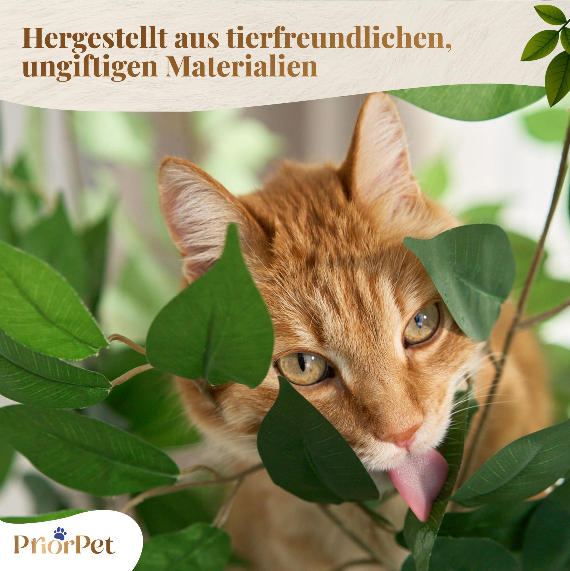Kratzbaum mit Blättern – Stabiler & Platzsparender Katzenbaum – 4 kratzbare Ebenen & 3 Kratzsäulen – Klettern, Verstecken, Schlafen – Einfache Montage – Haustiersicherer & Langlebiger Cat Tree Natur