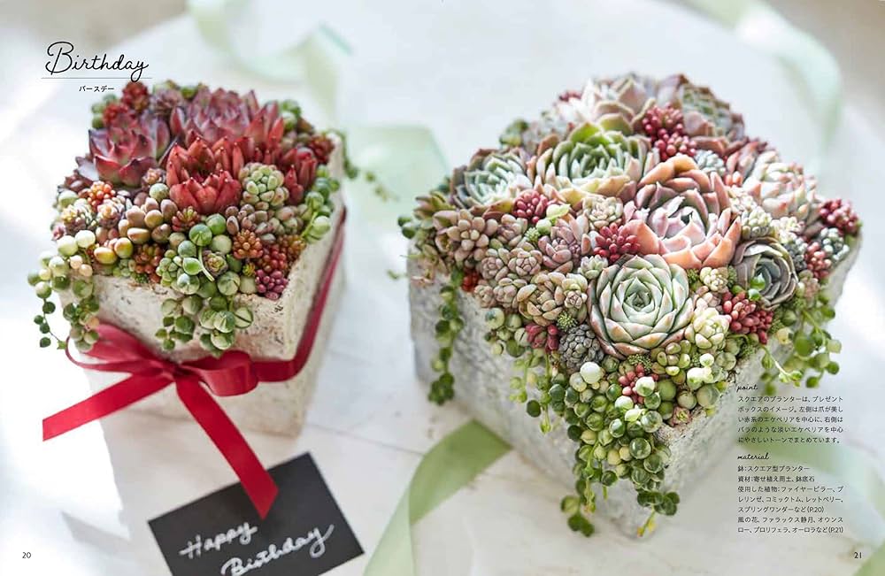 多肉植物 寄せ植え エケベリア・セダム 多肉植物♡届いたその日から飾れる寄せ植え♡エケベリア&セダム